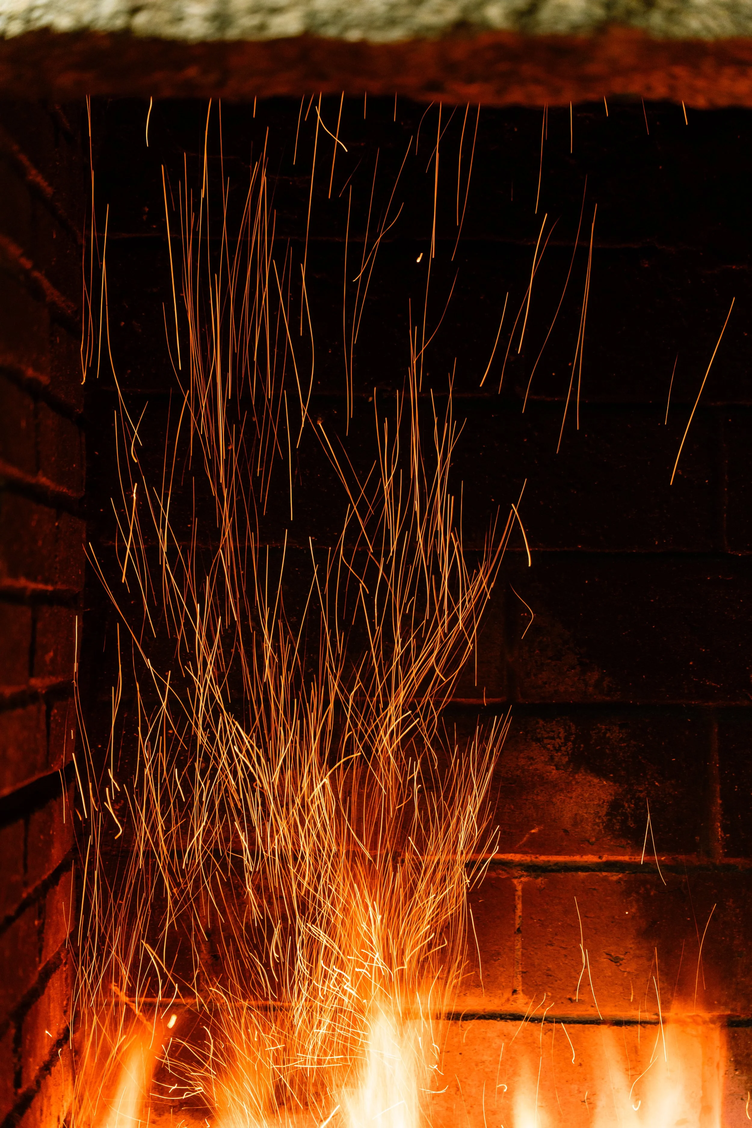 DSC09488.jpg