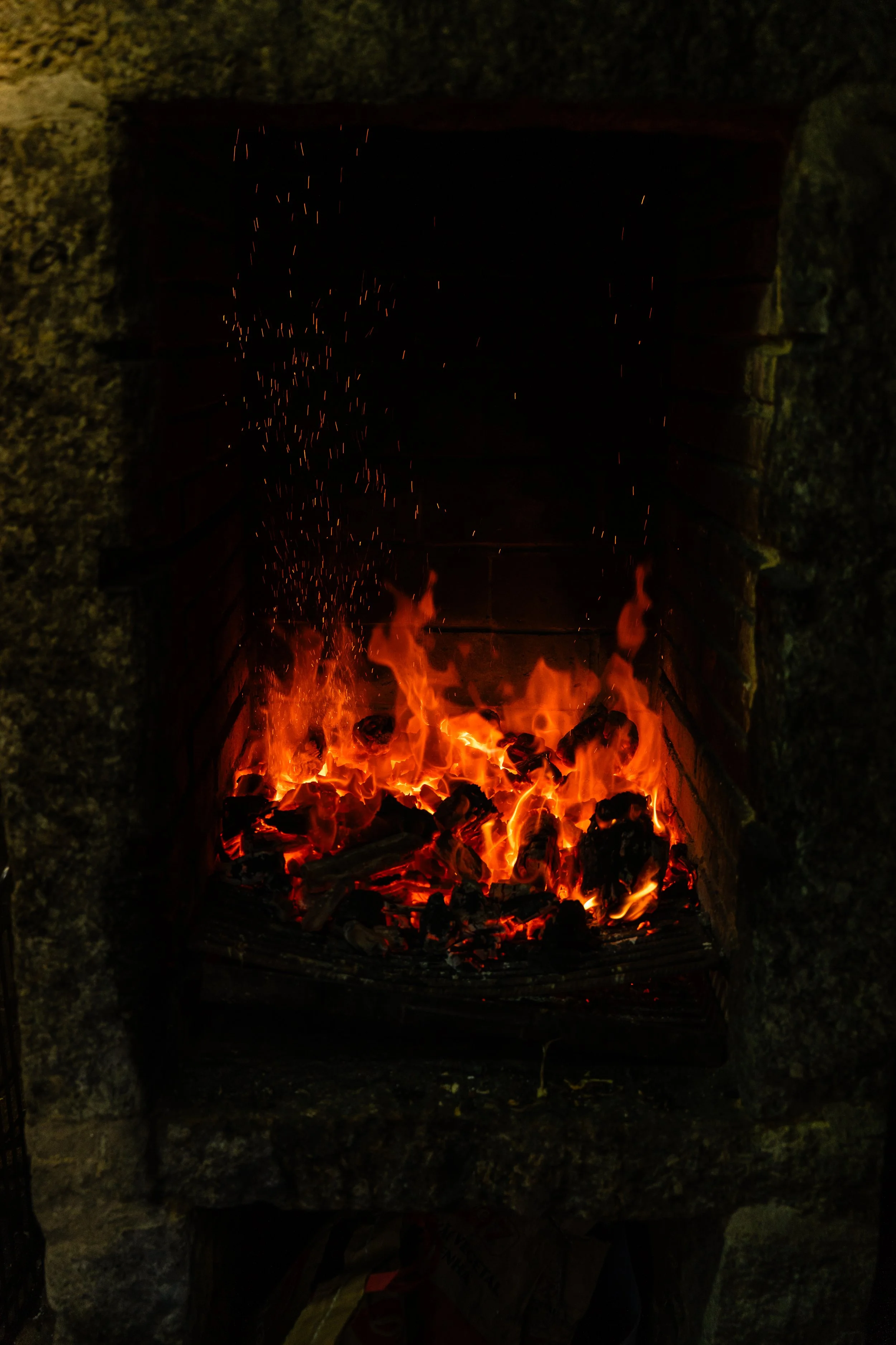 DSC09482.jpg