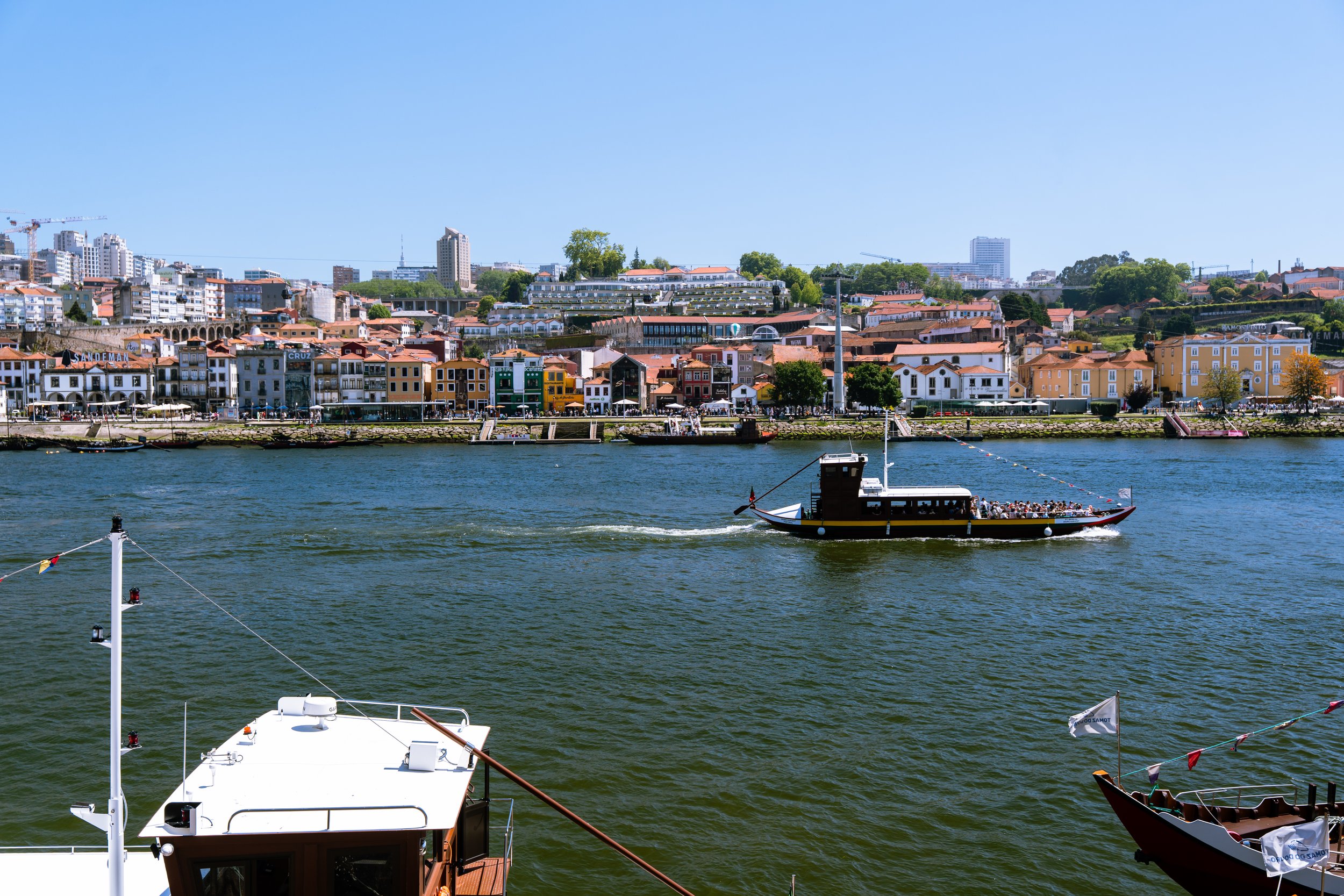 DSC09562.jpg