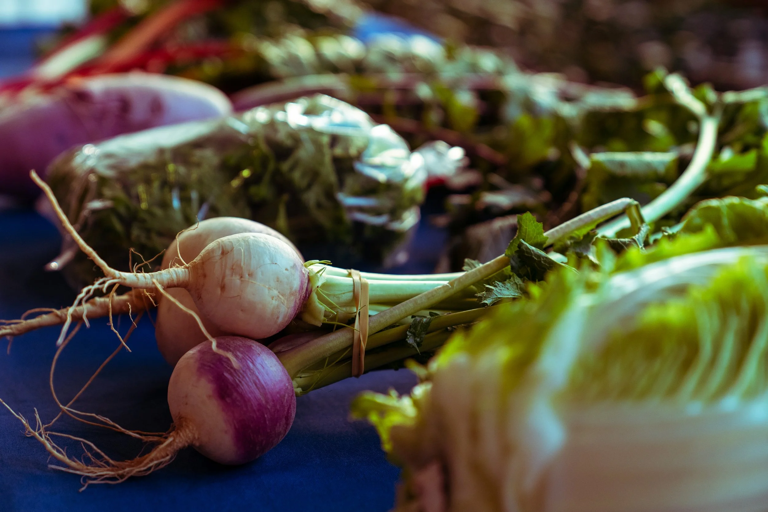 GTC_Photography 2.jpg