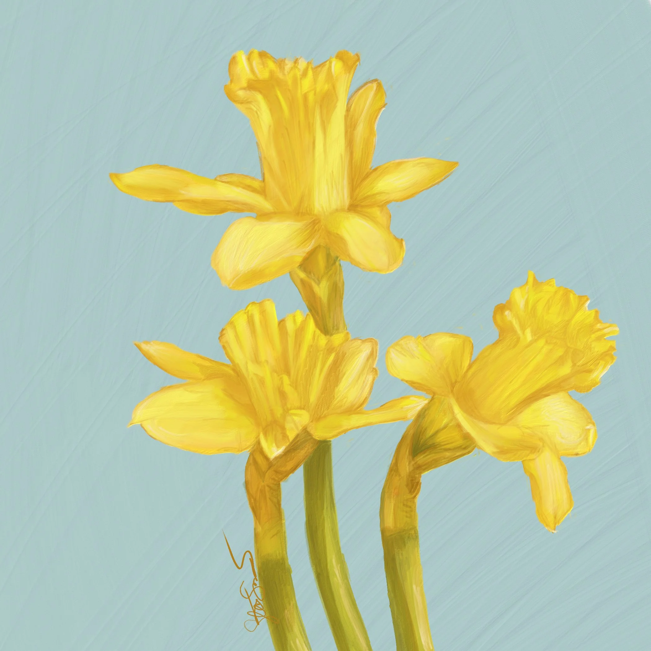 Digital painting of daffodils