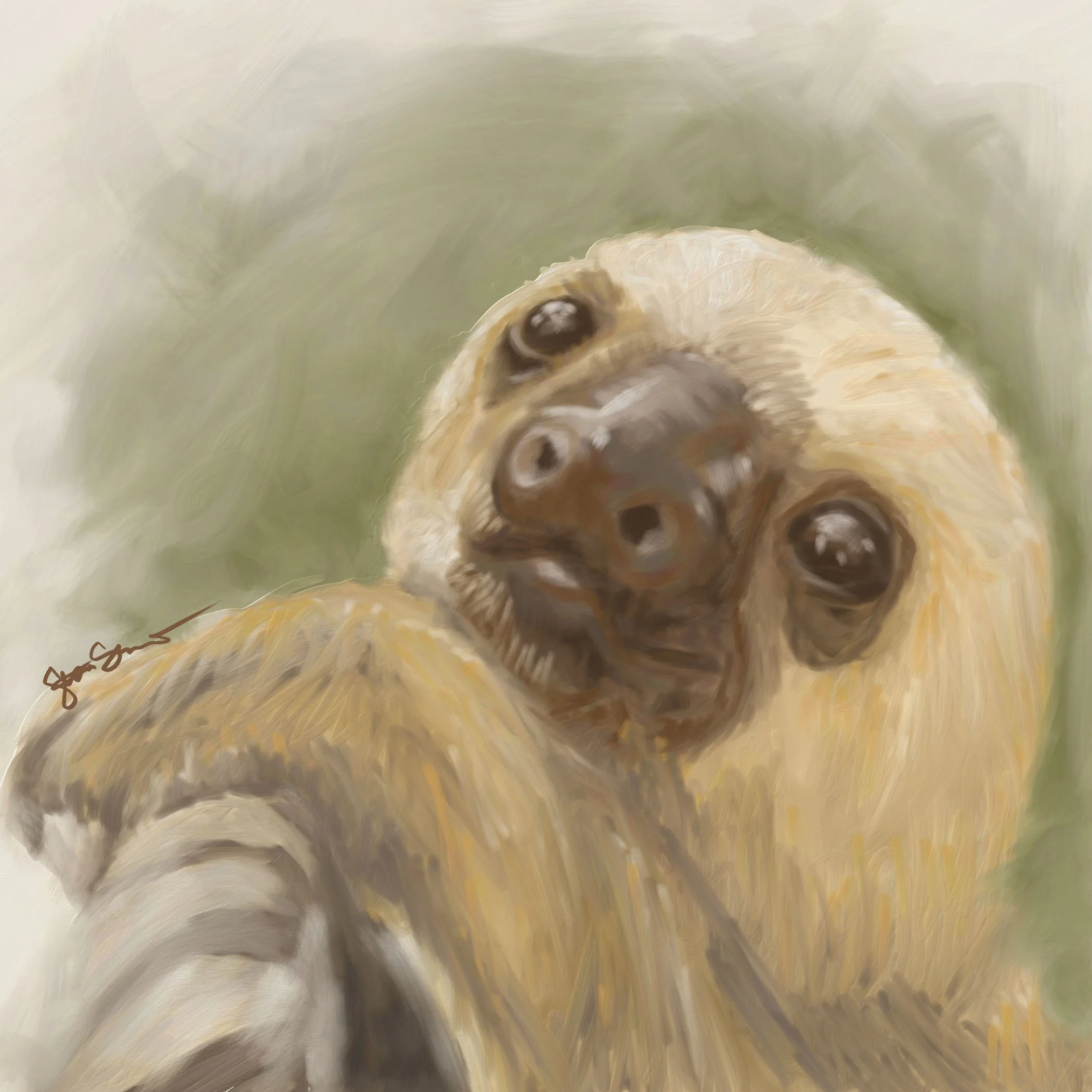 "Baby Sloth," digital painting