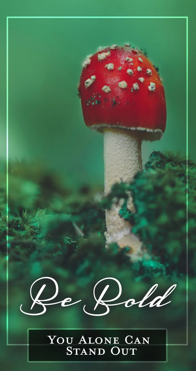 Oracle card design using local botanical photography