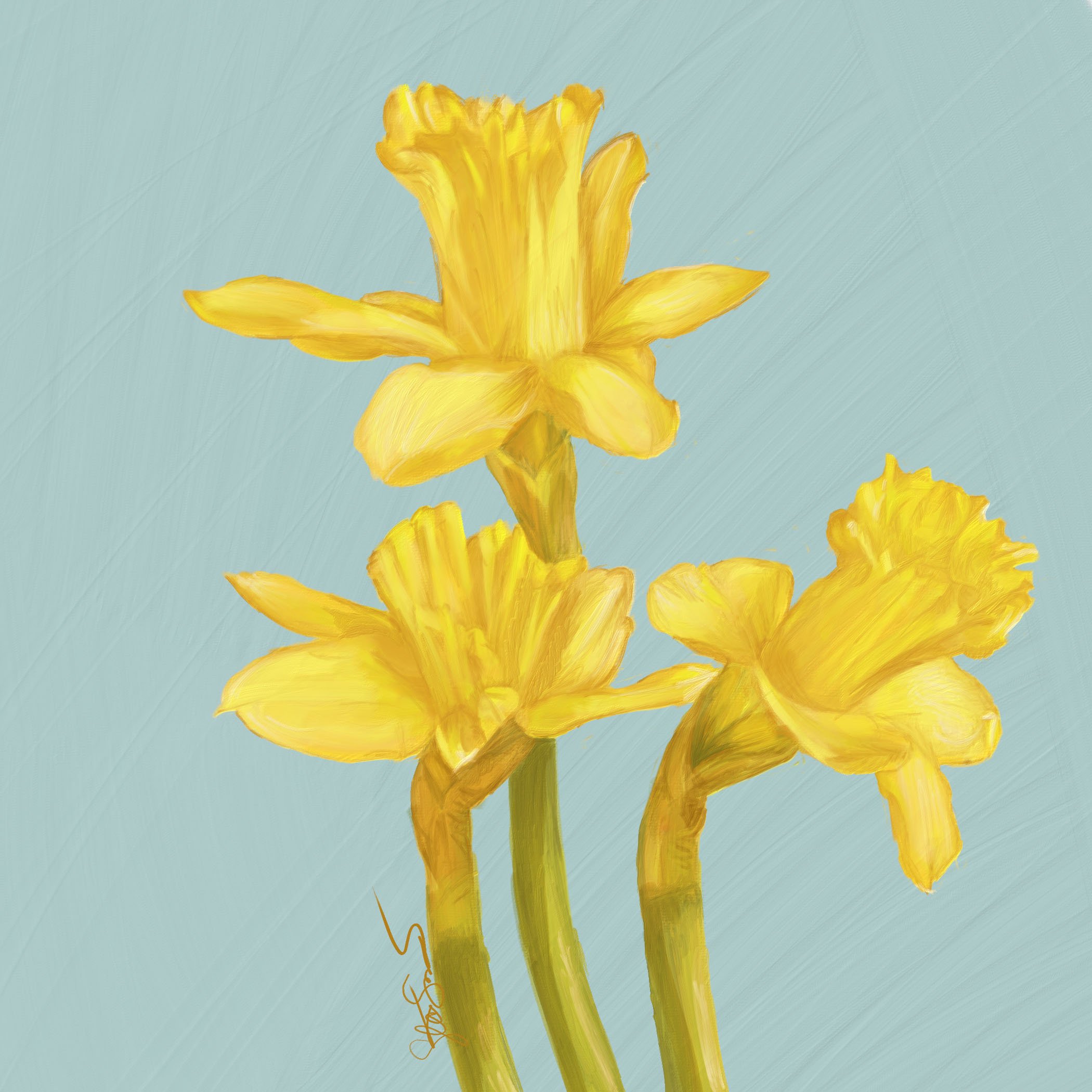 "Daffodils," digital painting