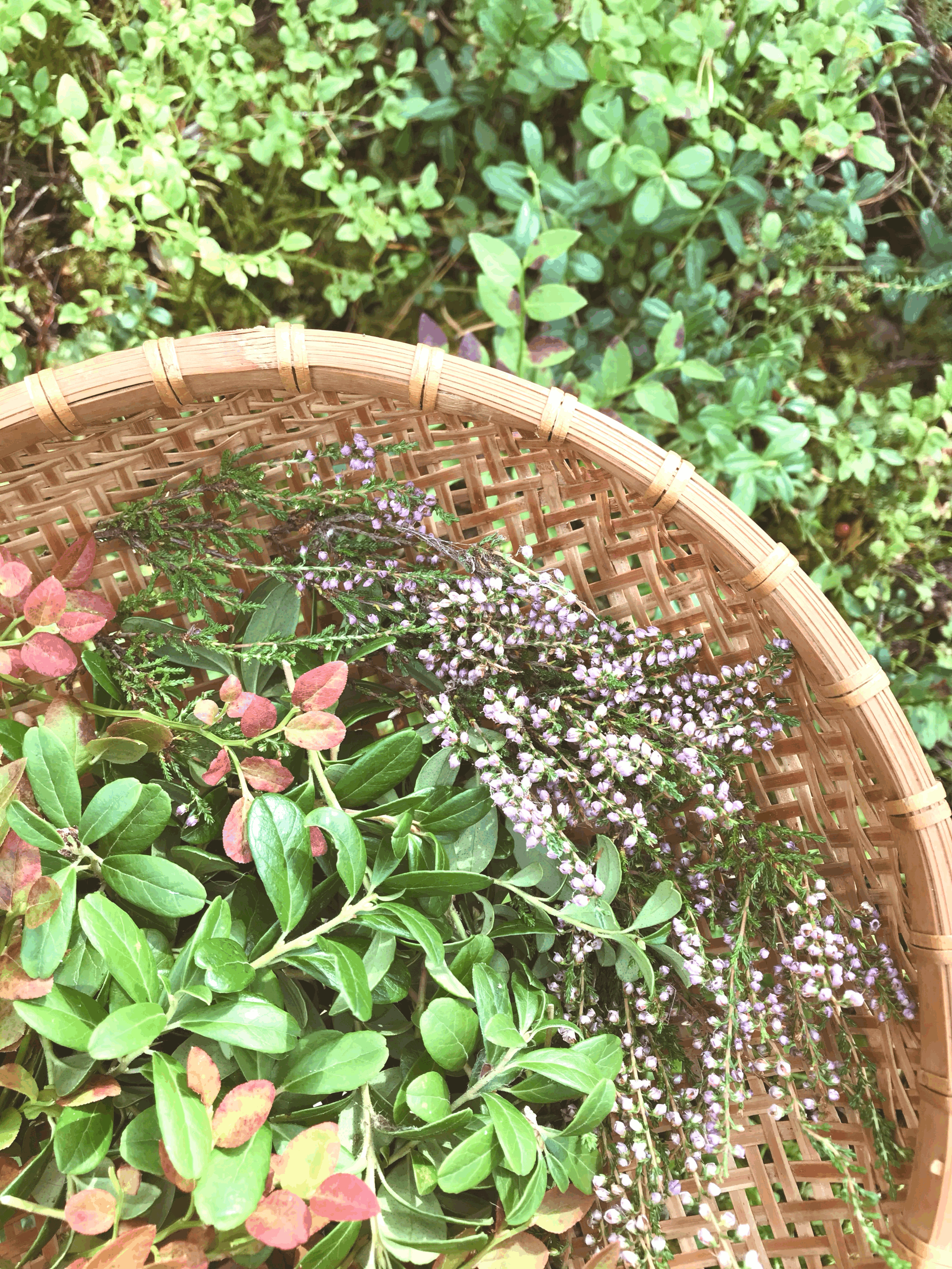 Rentouttava yrttijalkakylpyilta