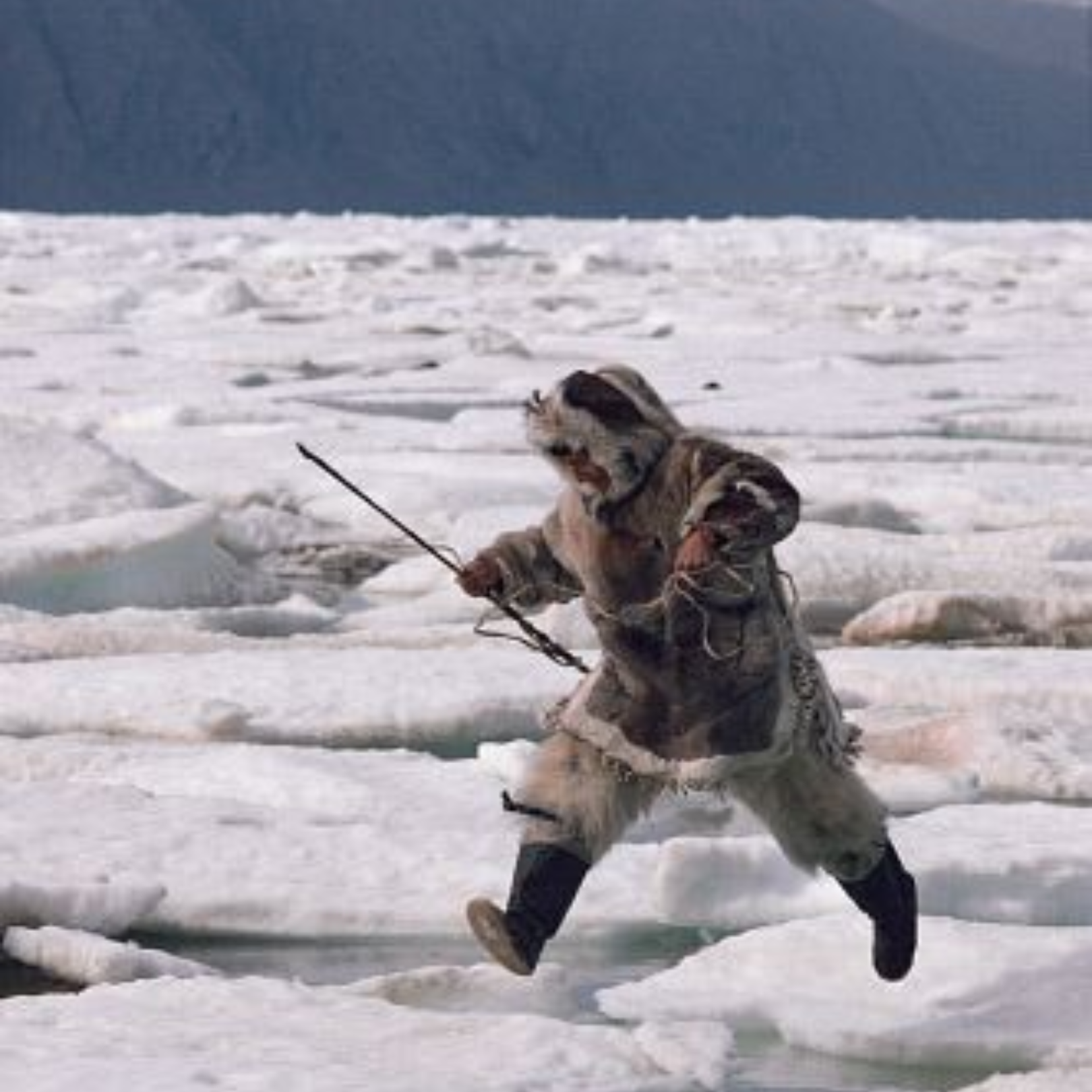 The Ancestral Wisdom of Organ Meats