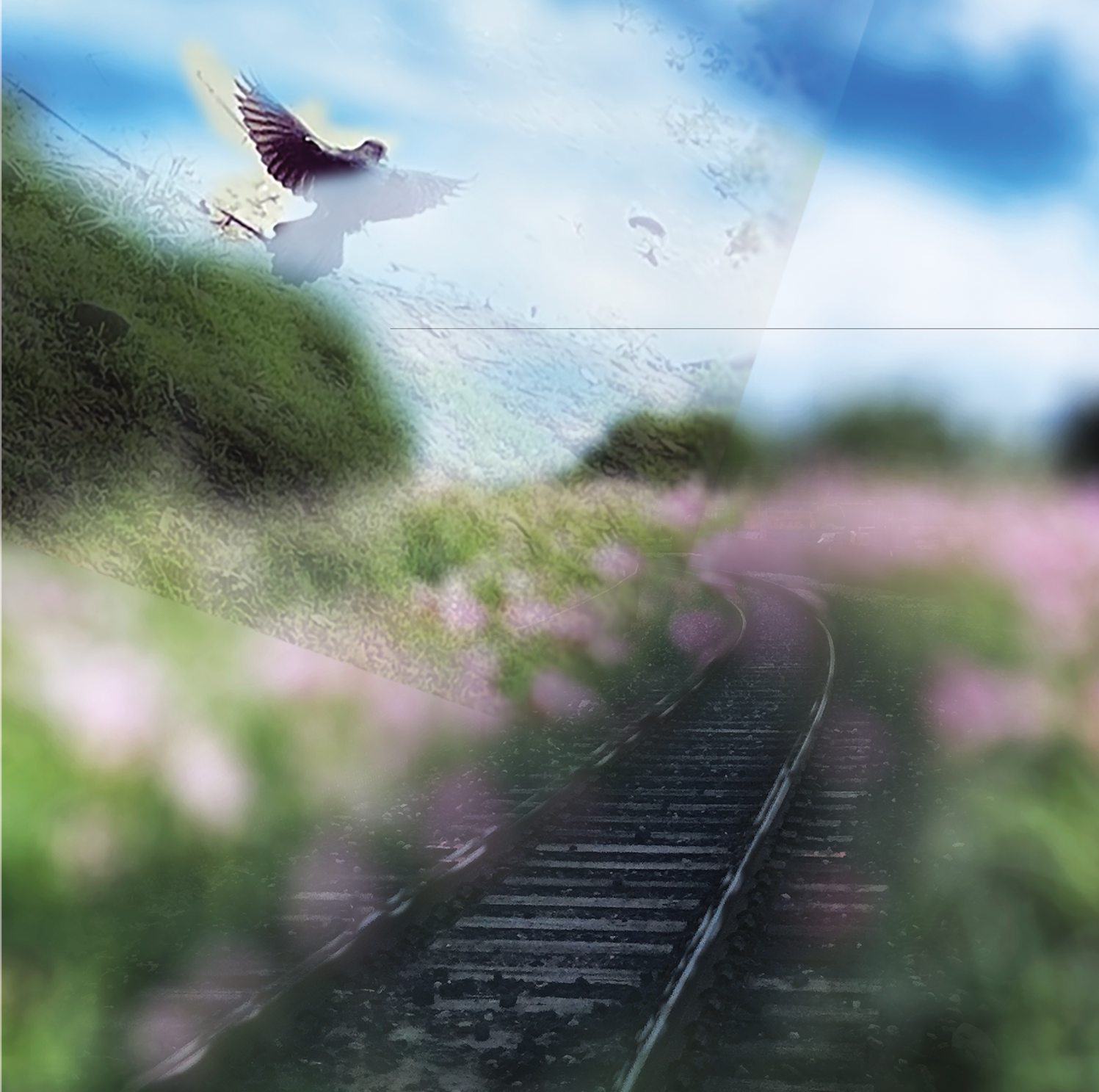 One Far West - Blue Sun Meadow