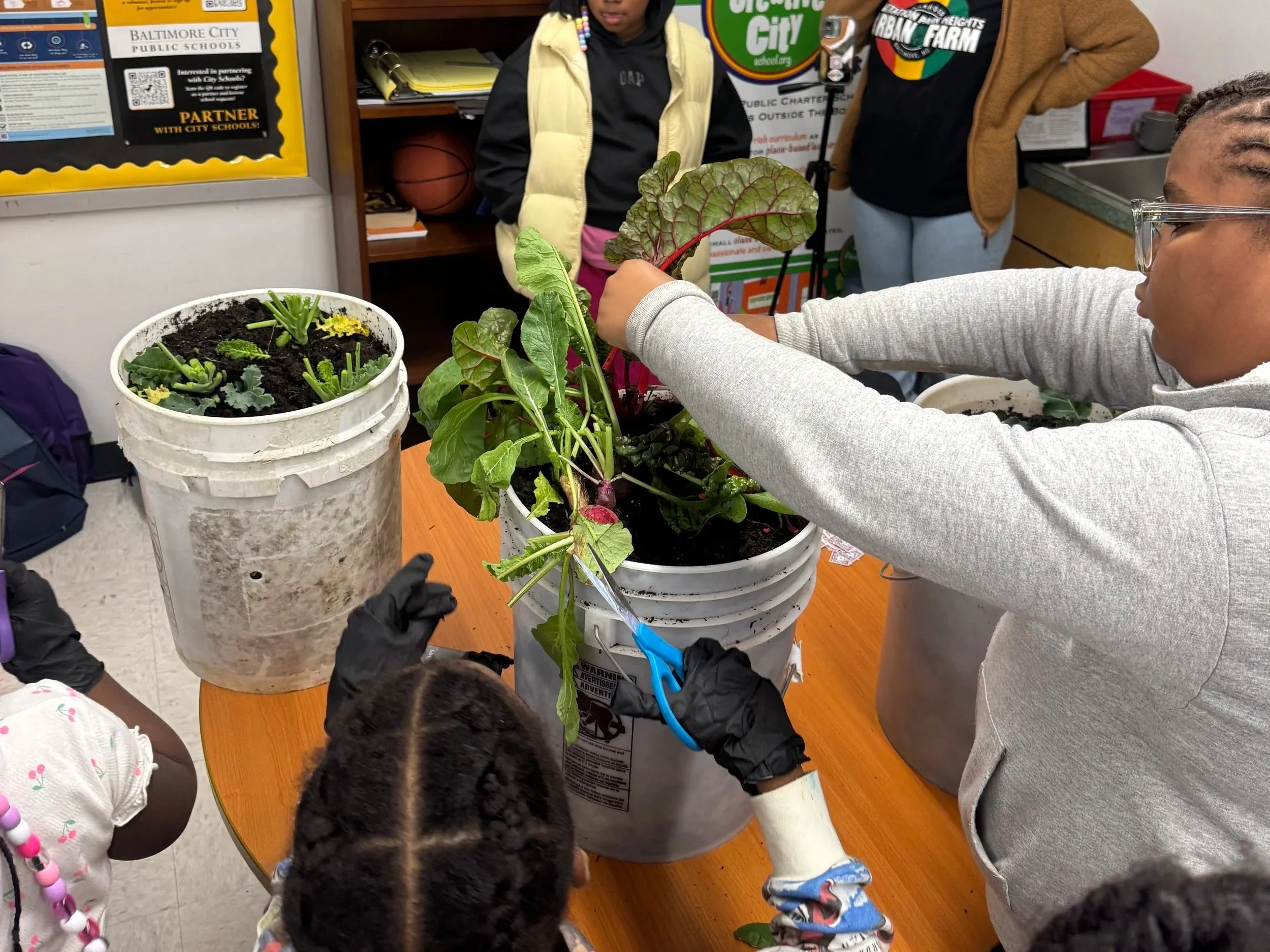 Plantation Park Heights Urban Farm