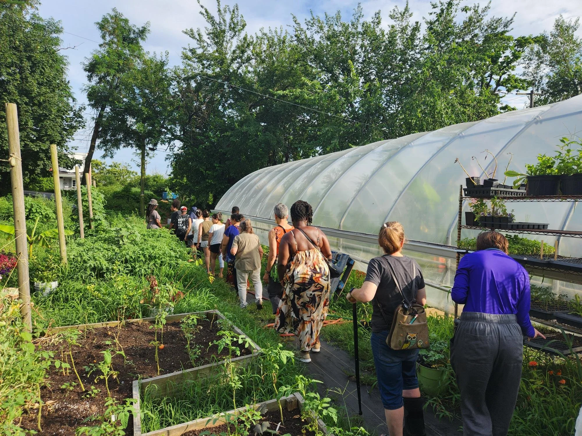 Plantation Park Heights Urban Farm