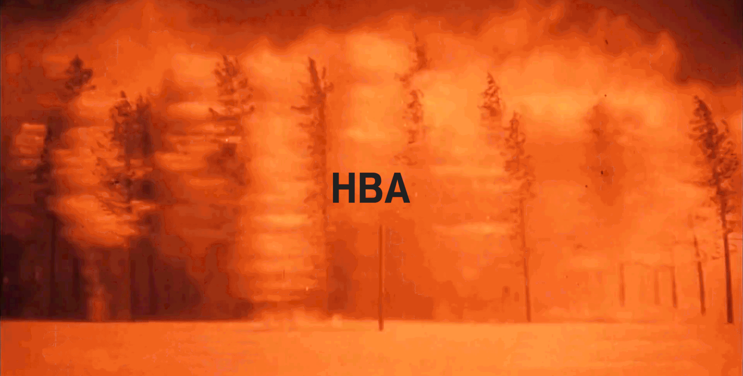TREE-EXPLOSION.gif