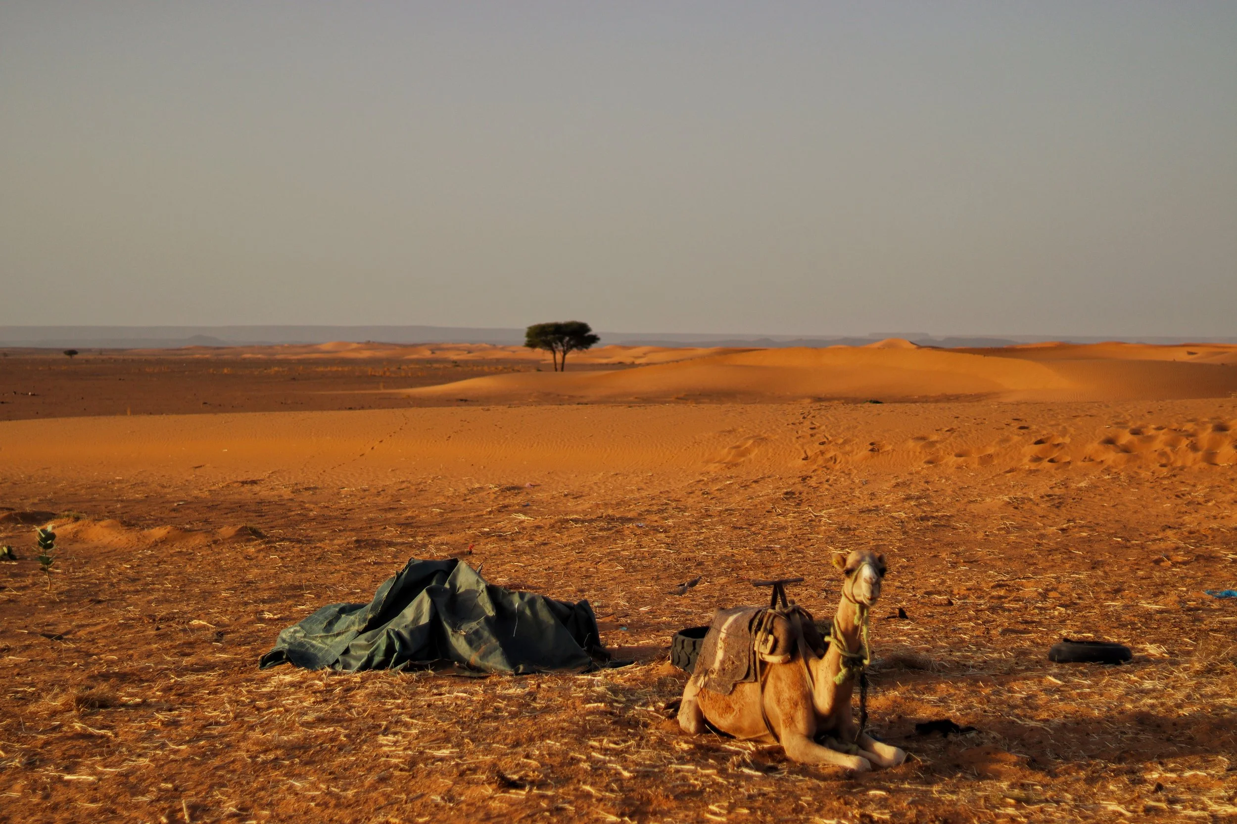 Morocco, Pt 2: Fes, Merzouga