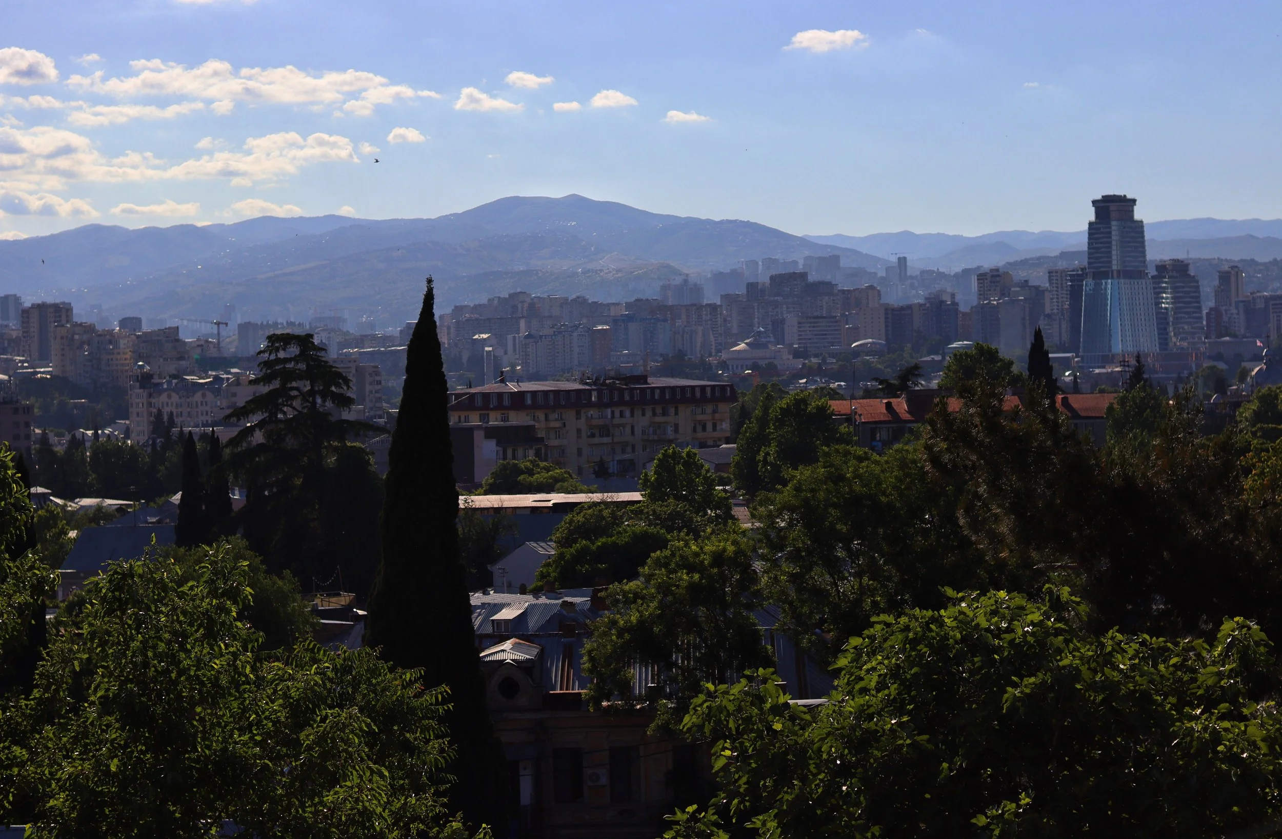 Tbilisi: Wave of Mutilation&nbsp;