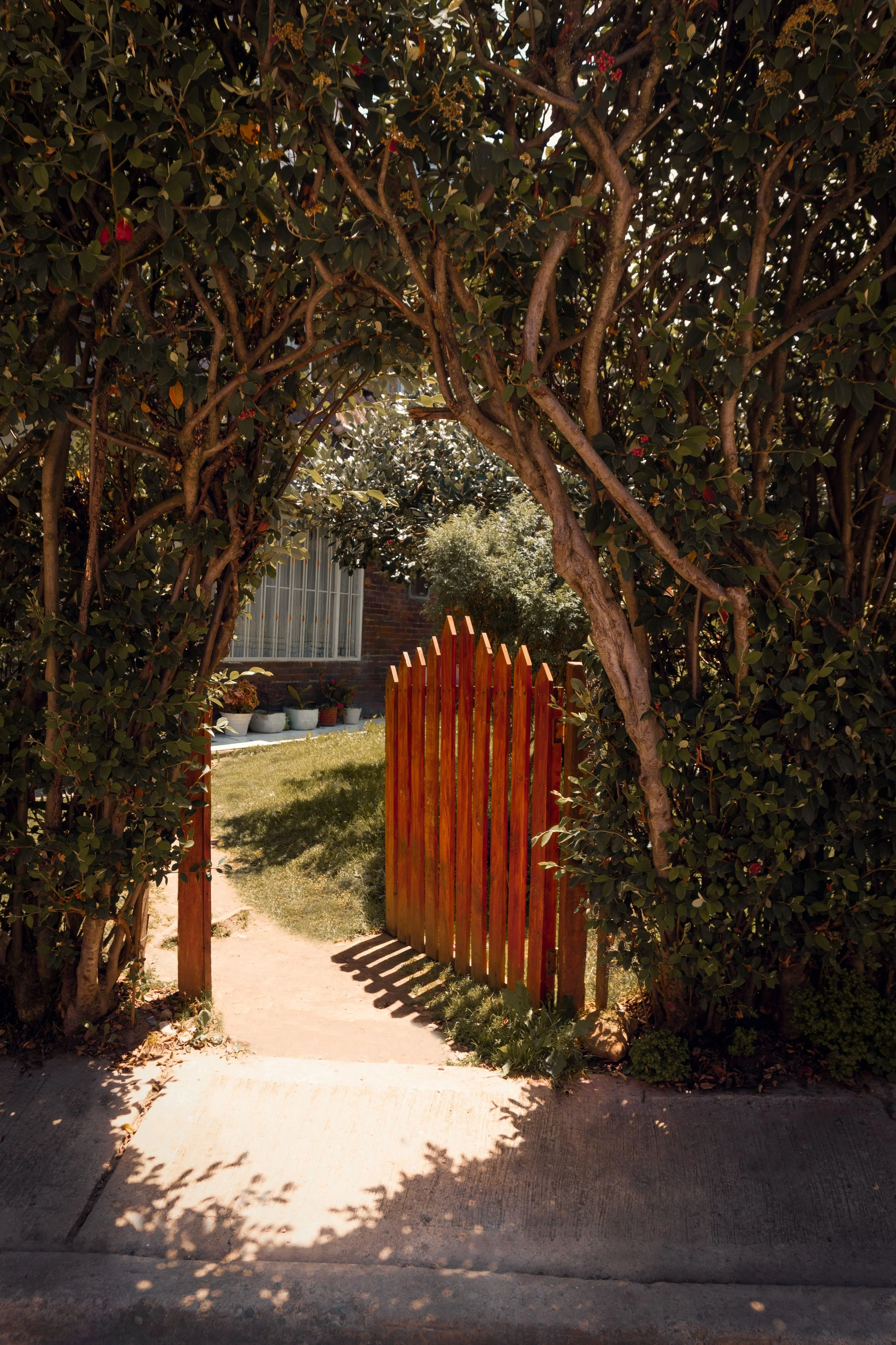 Wooden Gate Open