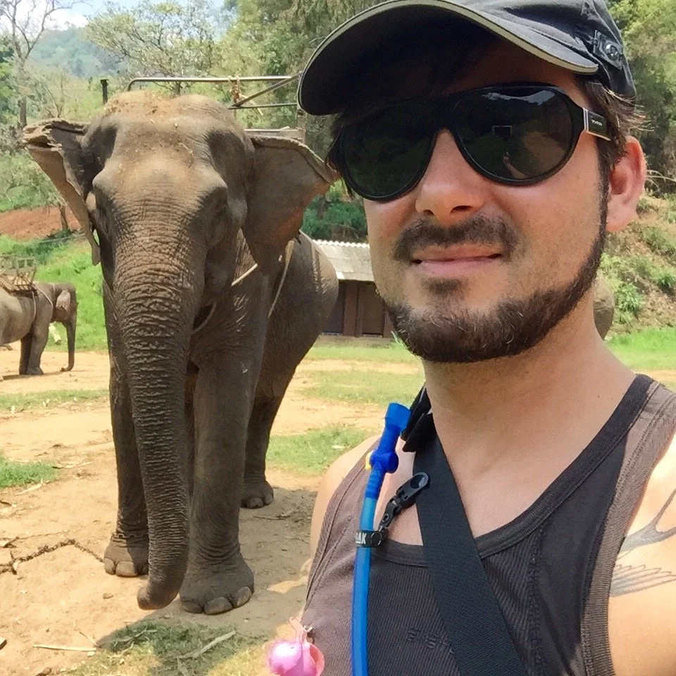 The Elephant Sanctuary, Chiangmai