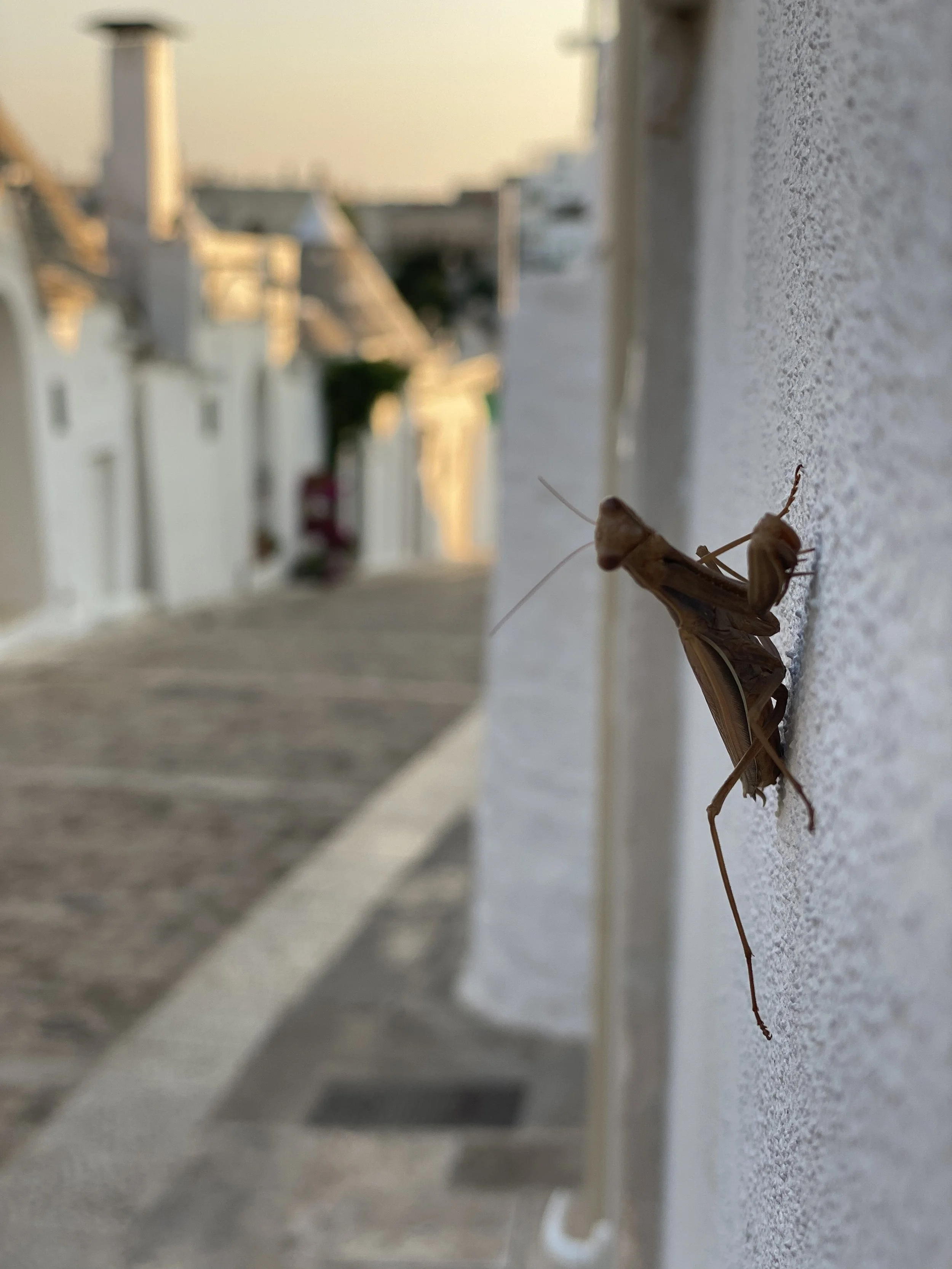 Alberobello