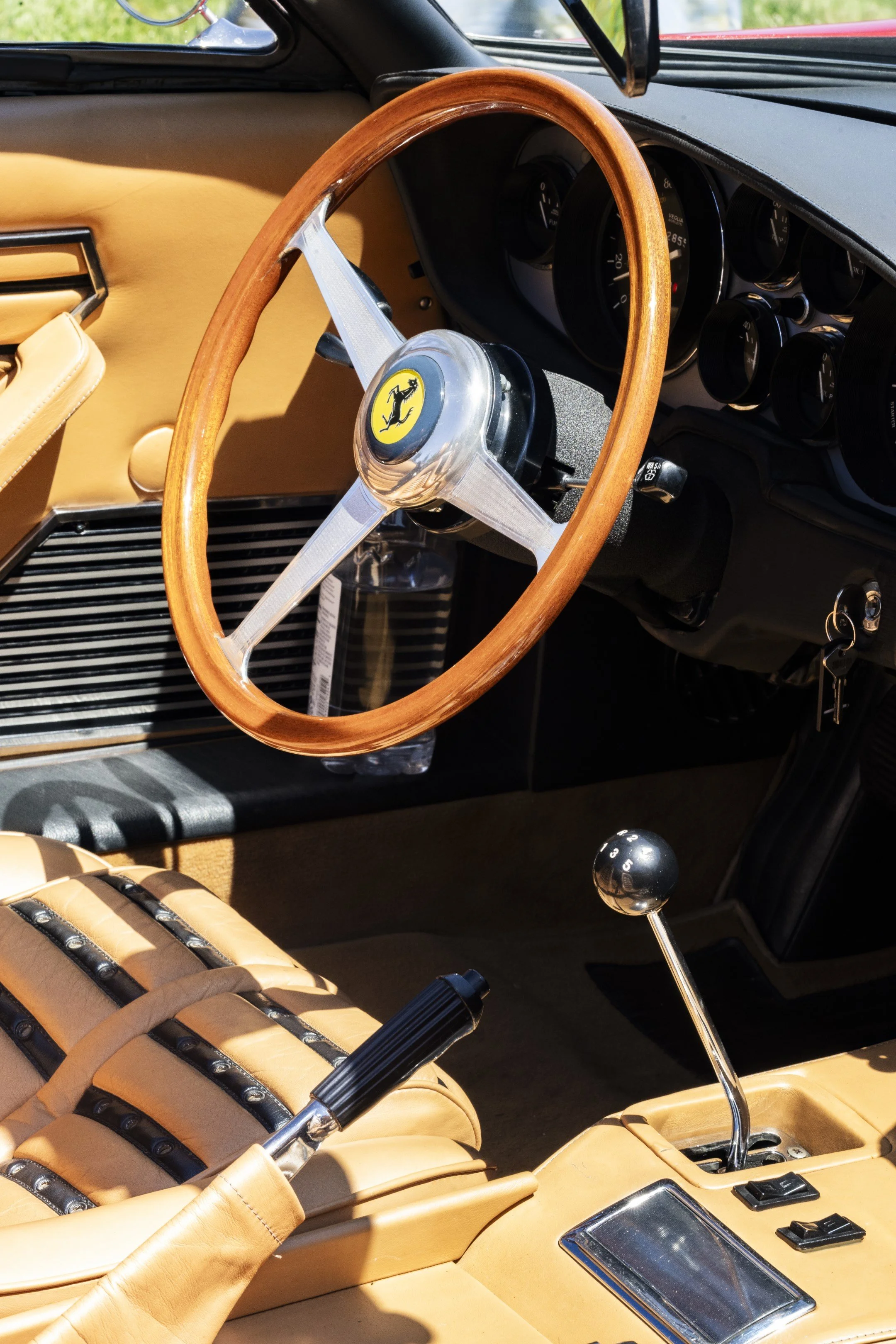 DSC_2432 (Custom).jpg