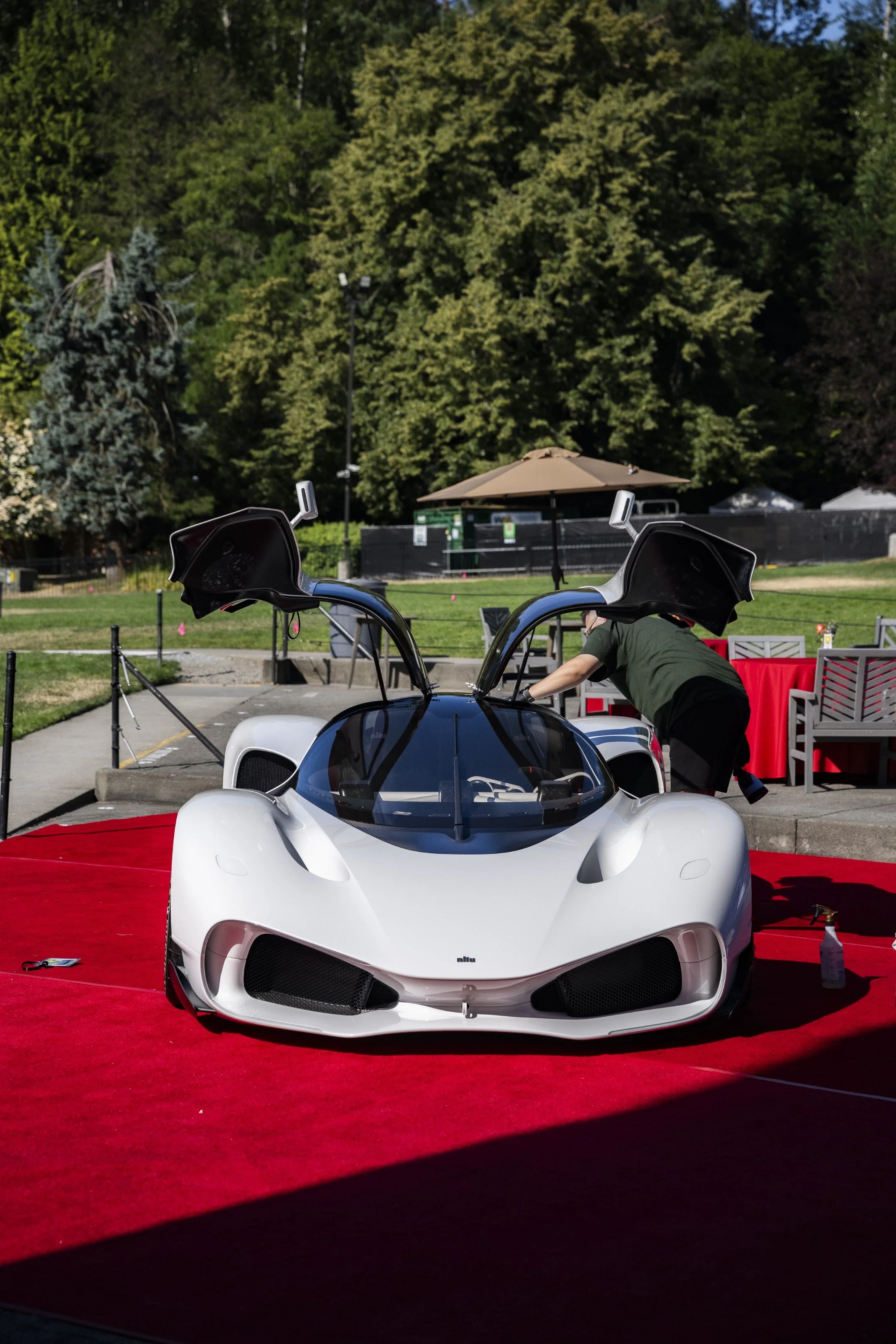 DSC_2055 (Custom).jpg