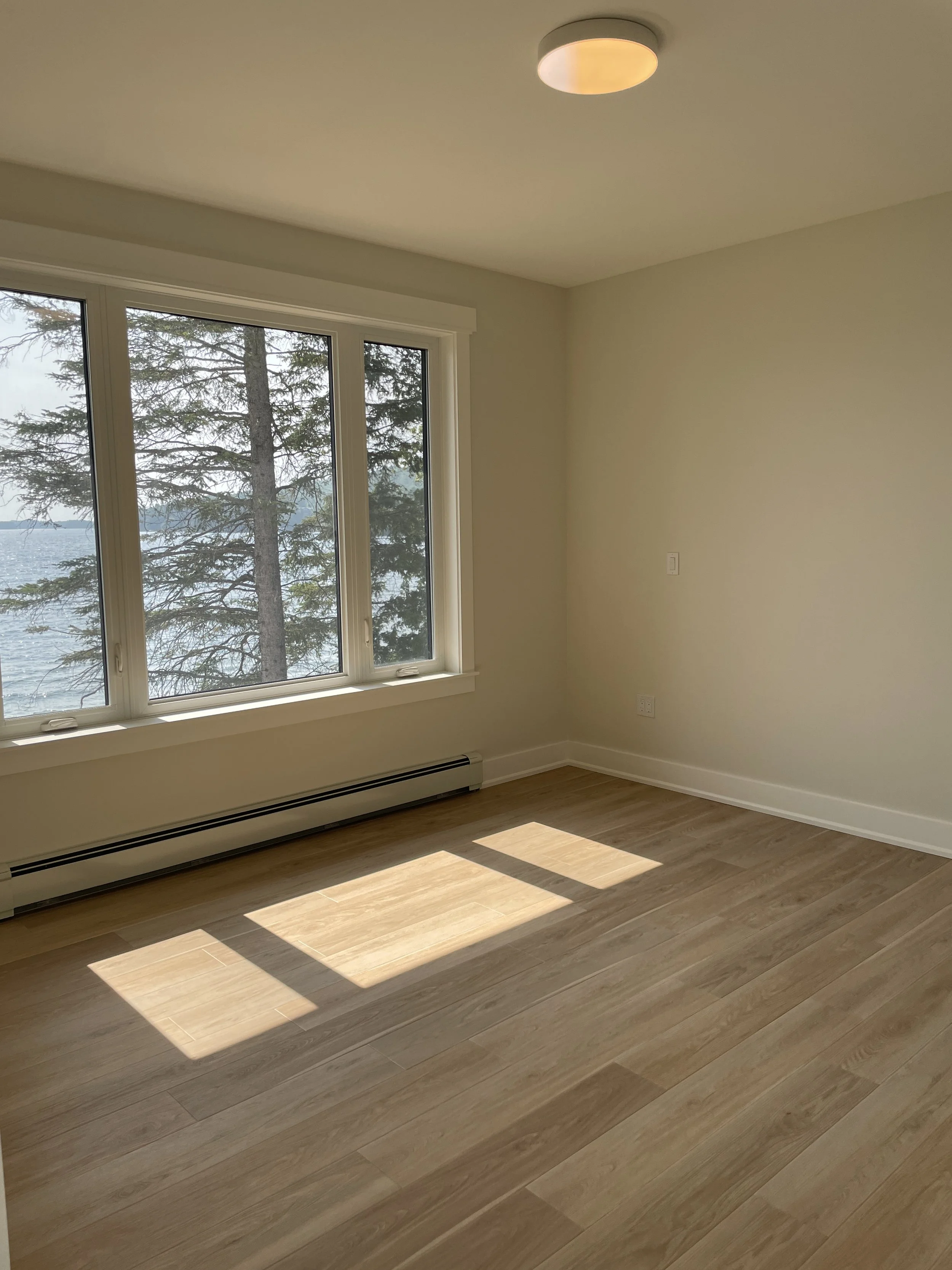 Empty room with large window showing trees and water outside, sunlight casting shadows on wooden floor, minimal decor, ceiling light fixture.