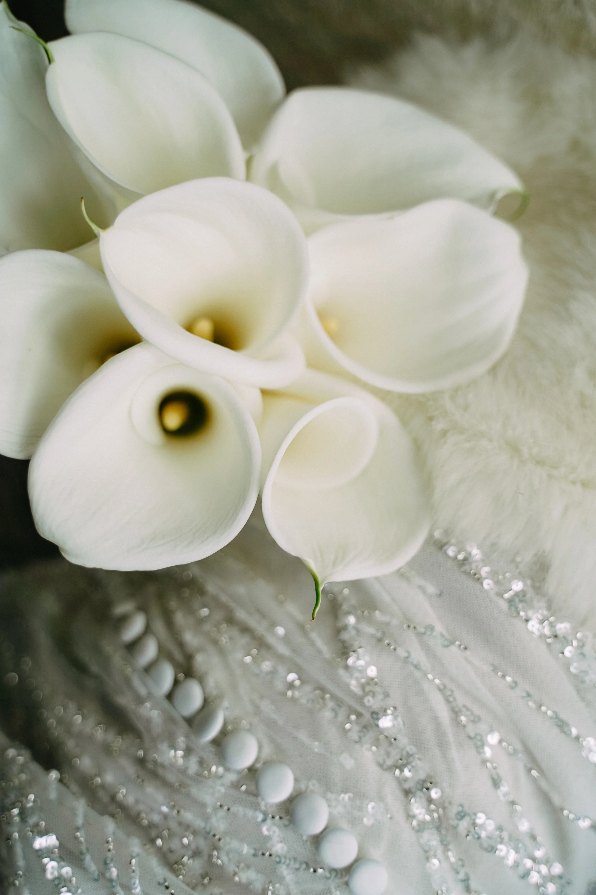 Prague wedding 4.JPG