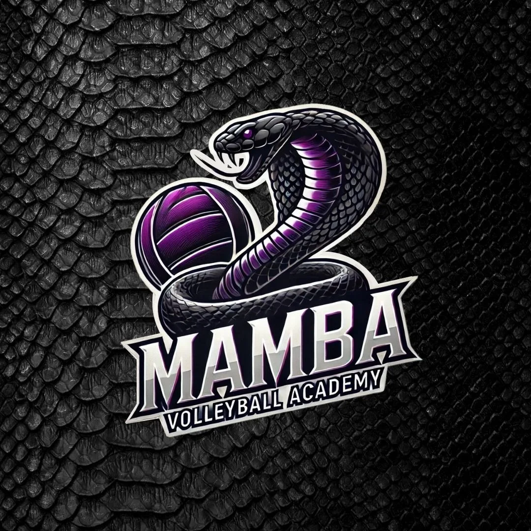 Mamba 2024 - SS.jpg
