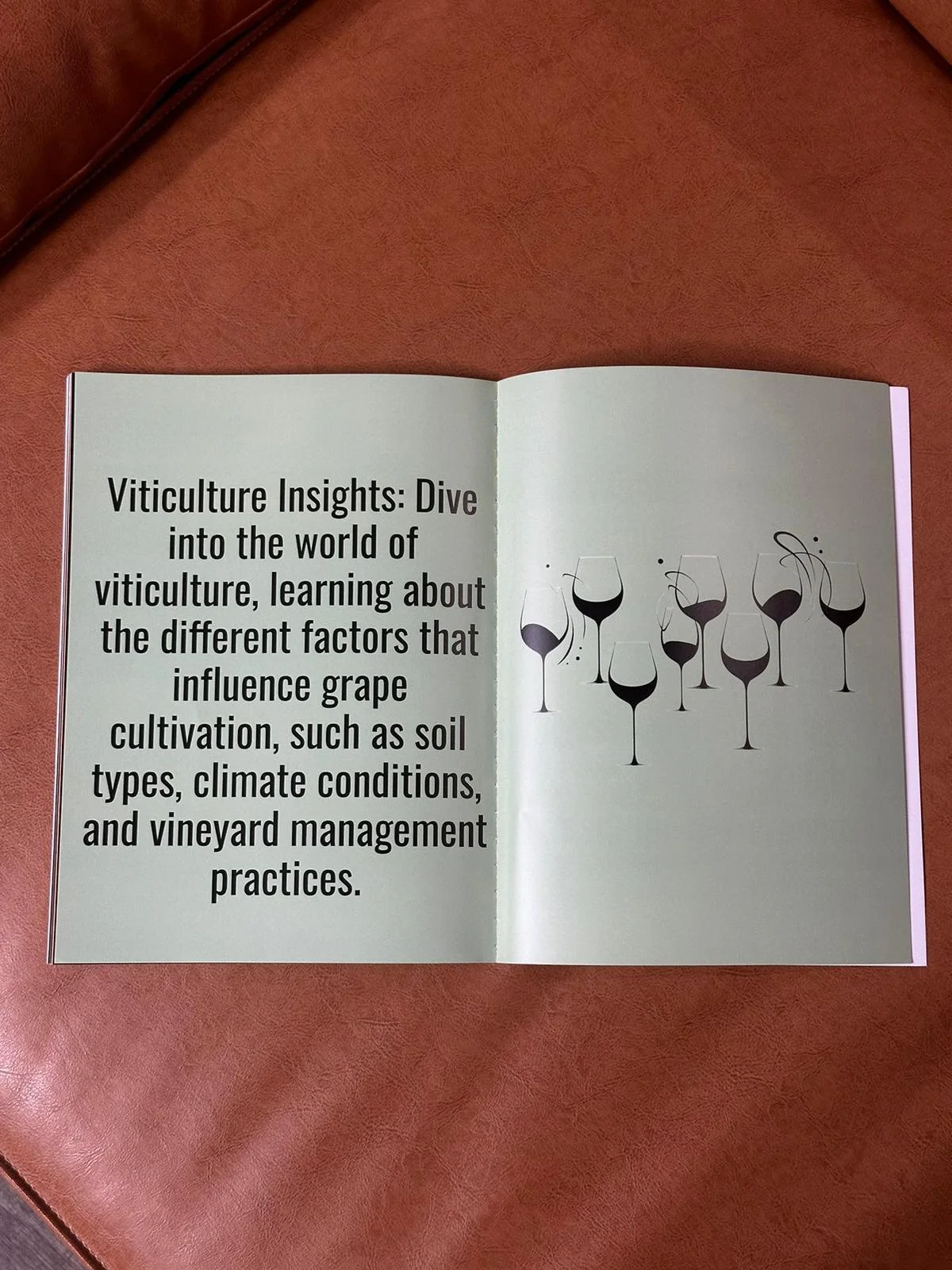 Beginner Sommelier; Level 1 Sommelier Practice Test