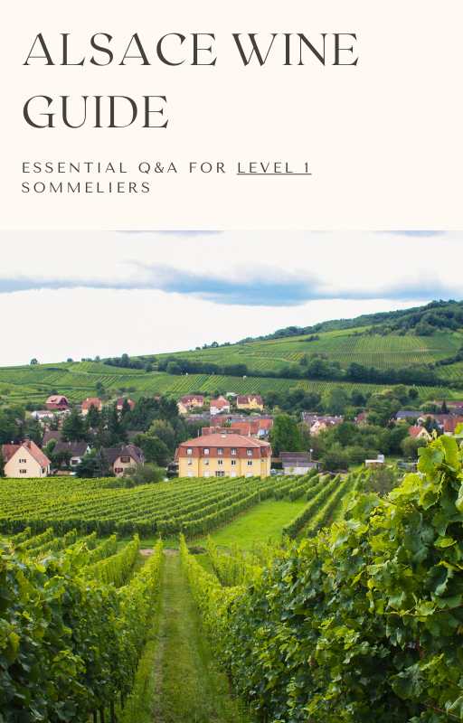Alsace - Essential Q&A for Level 1 Sommeliers