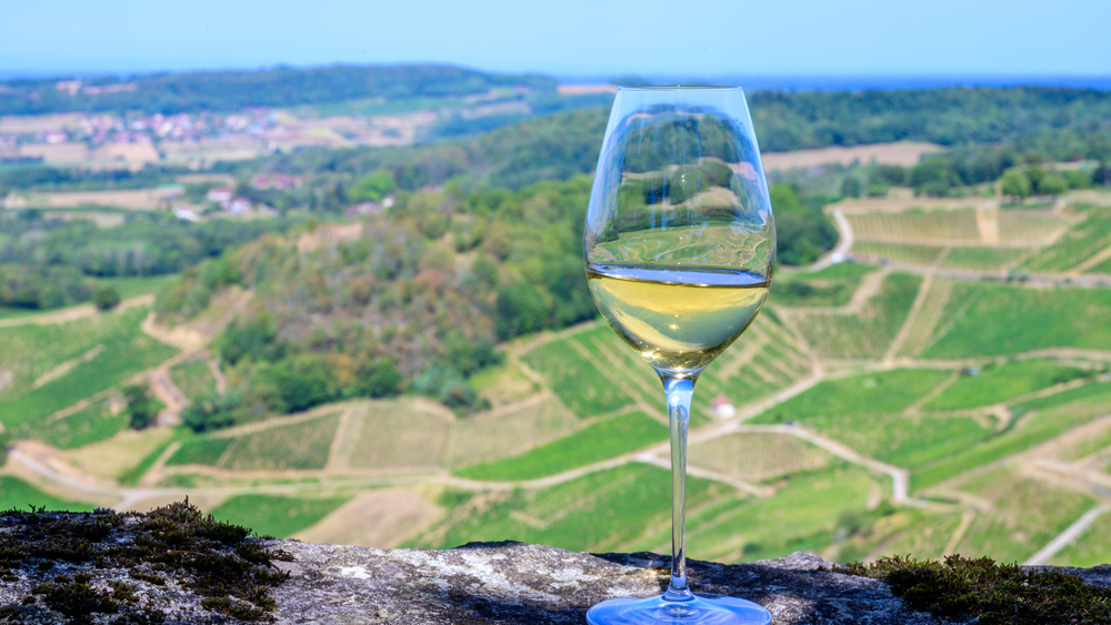 Jura Wines French Wine Region Guide Sommelier's Secrets
