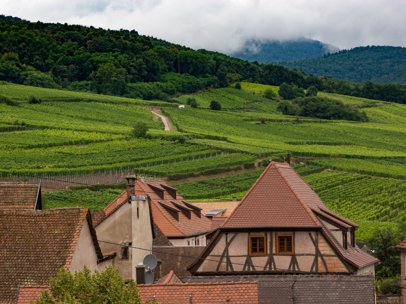 A Guide to Gewurztraminer Pronunciation, Wine Region