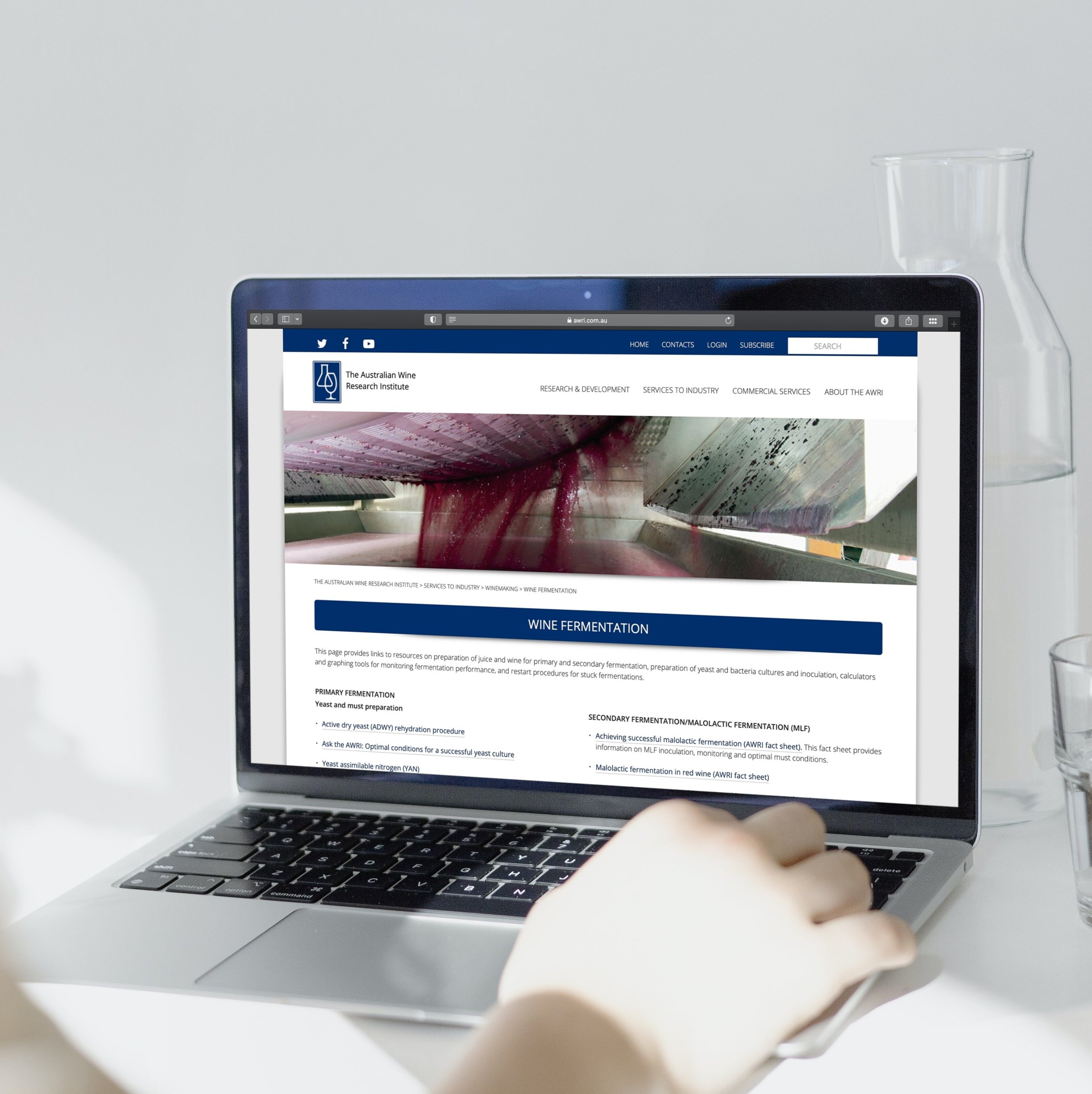 learn wine online