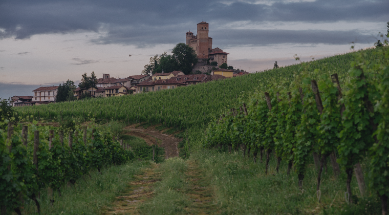 Exploring the Wine Regions of Italy: North to South | SOMM DIGI BLOG