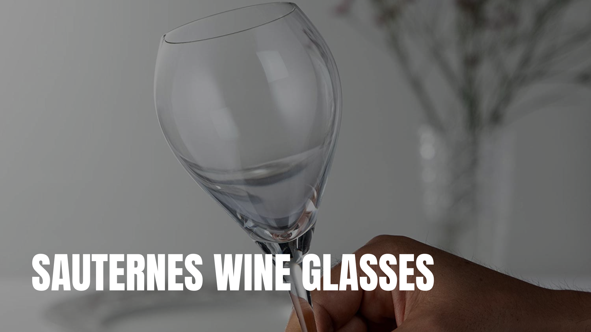 Sauternes wine glass, dessert wine glass