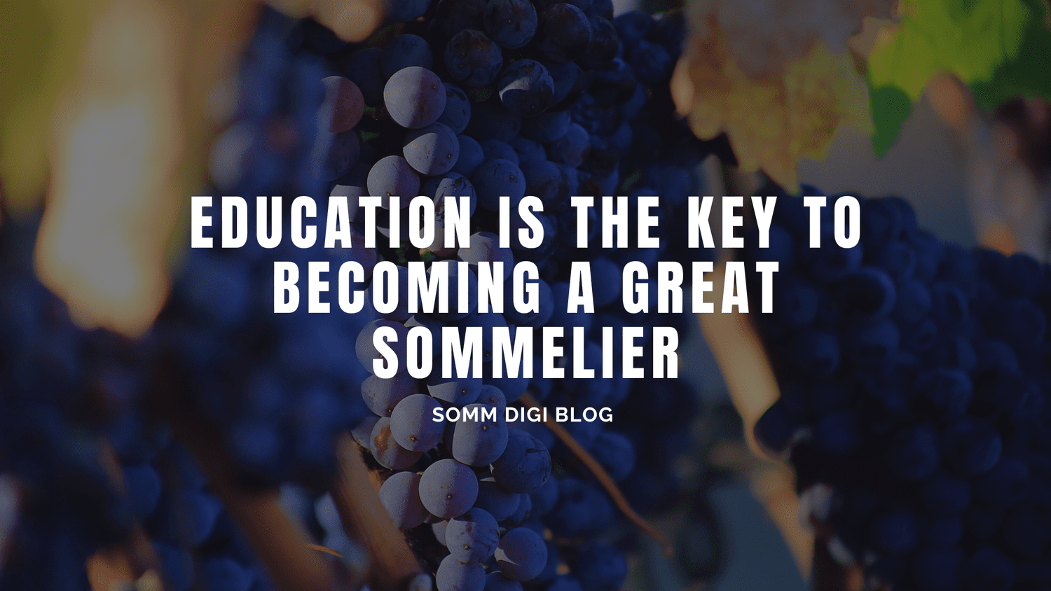 Sommelier Quotes Inspiration and Motivation for Wine Professionals