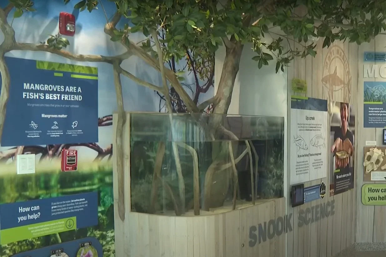 Screenshot 2023-11-06 112054.jpg