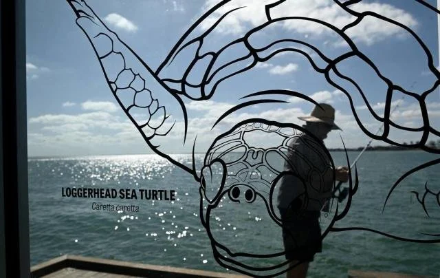 f8b6a19e6eef39343e9dd4653f837a54 (1).jpg