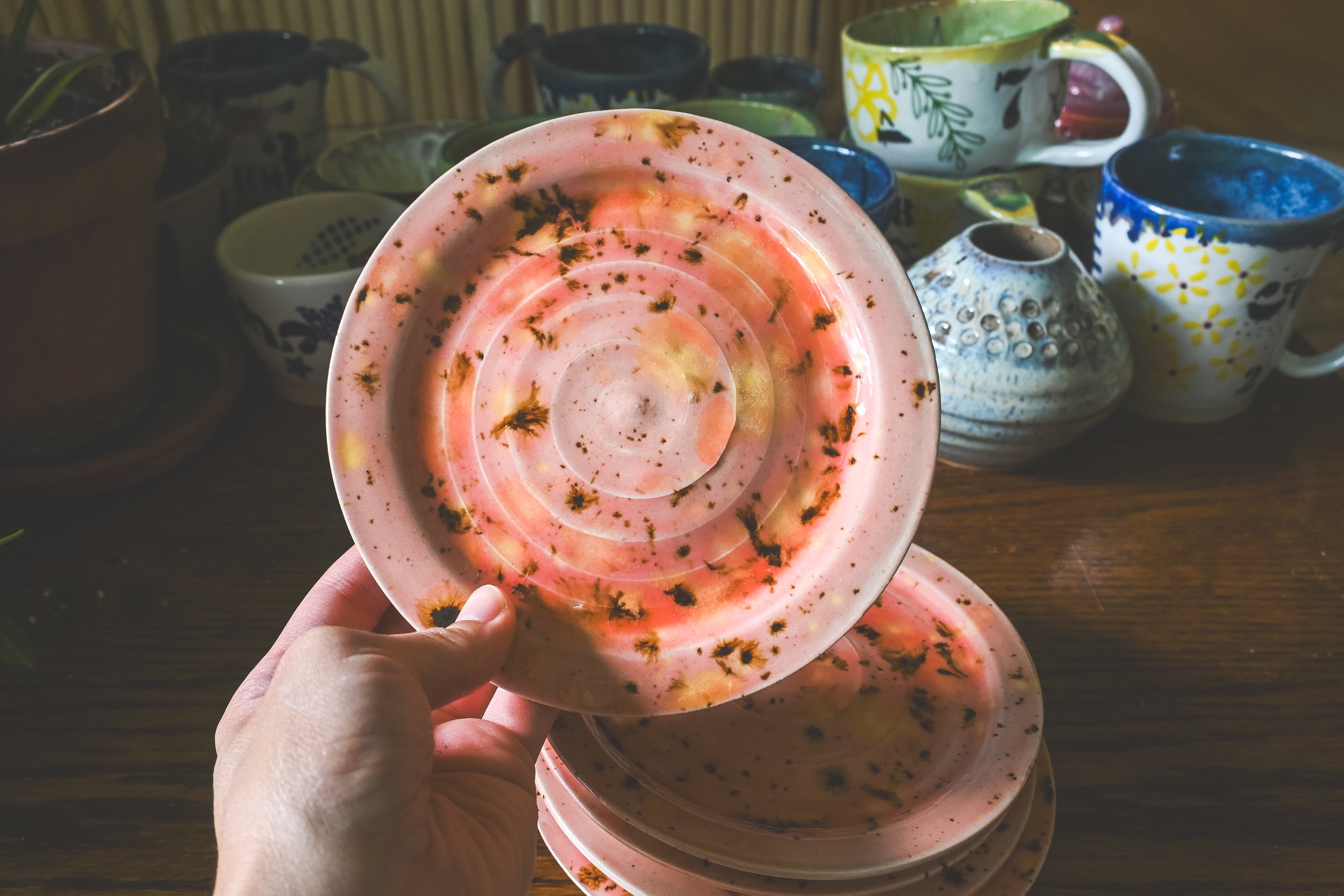 SueZQ Pink Speckled Swirl Plates