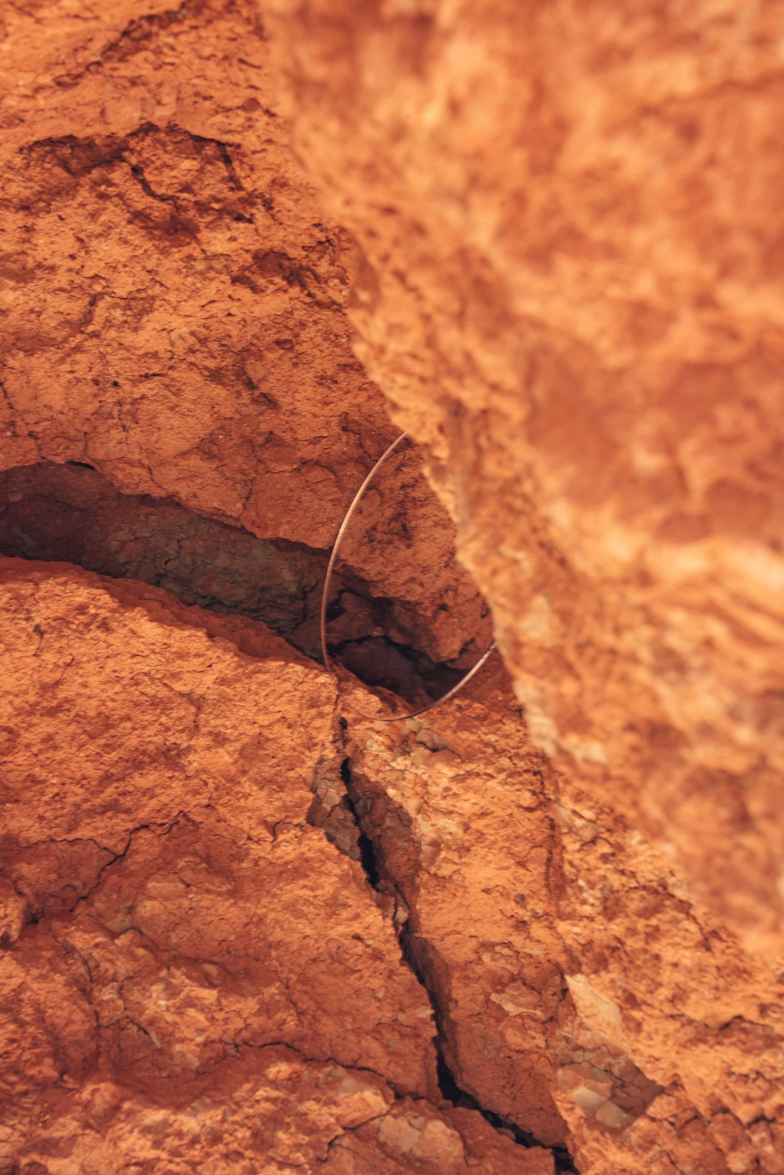 2022.02.20 TPS Reflection-1.jpg