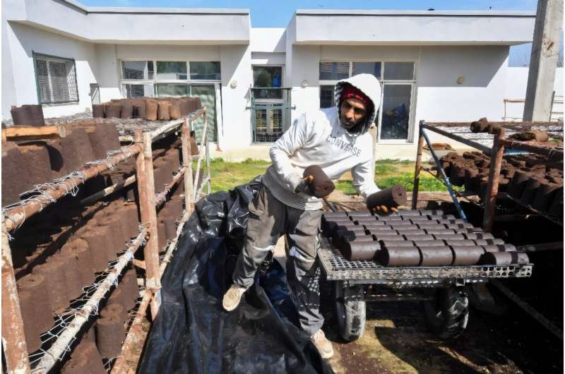 Transforming Olive Waste into Clean Energy