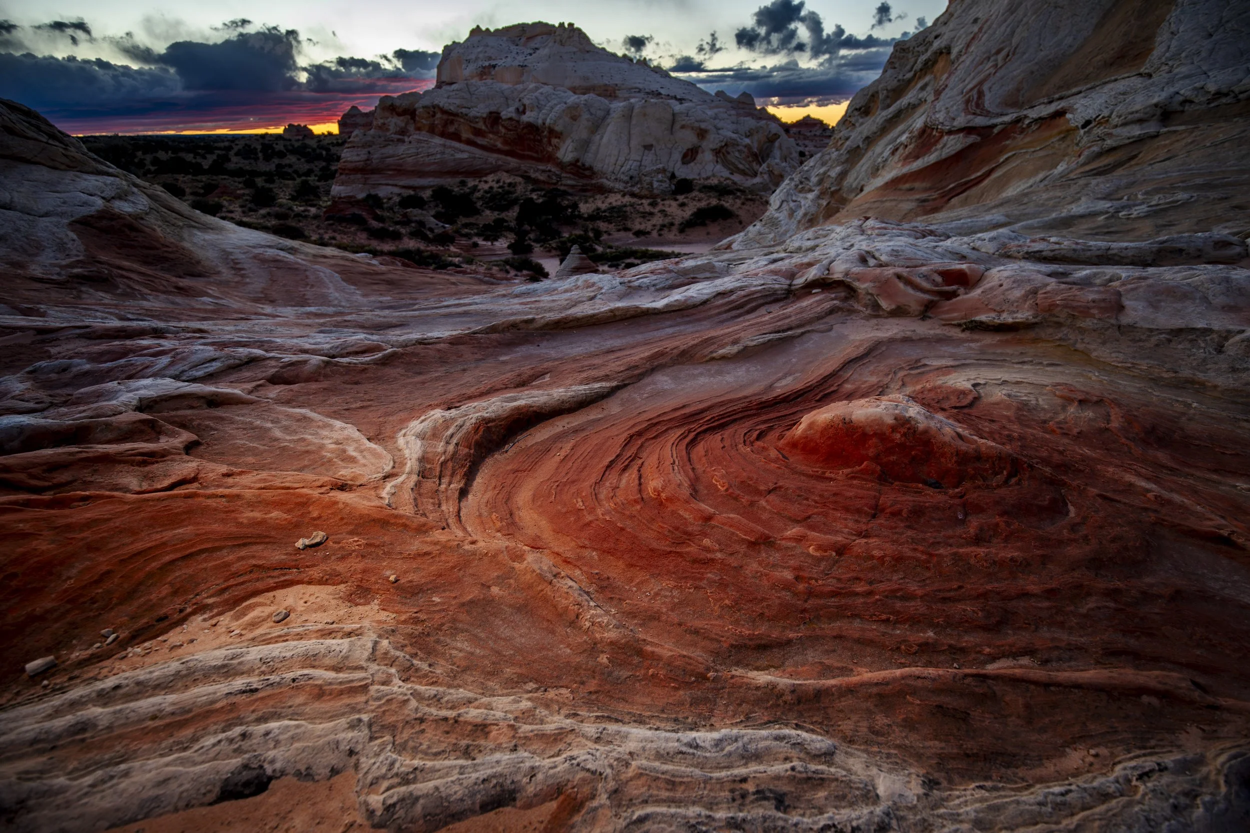4X7A1062-Enhanced-NR.jpg
