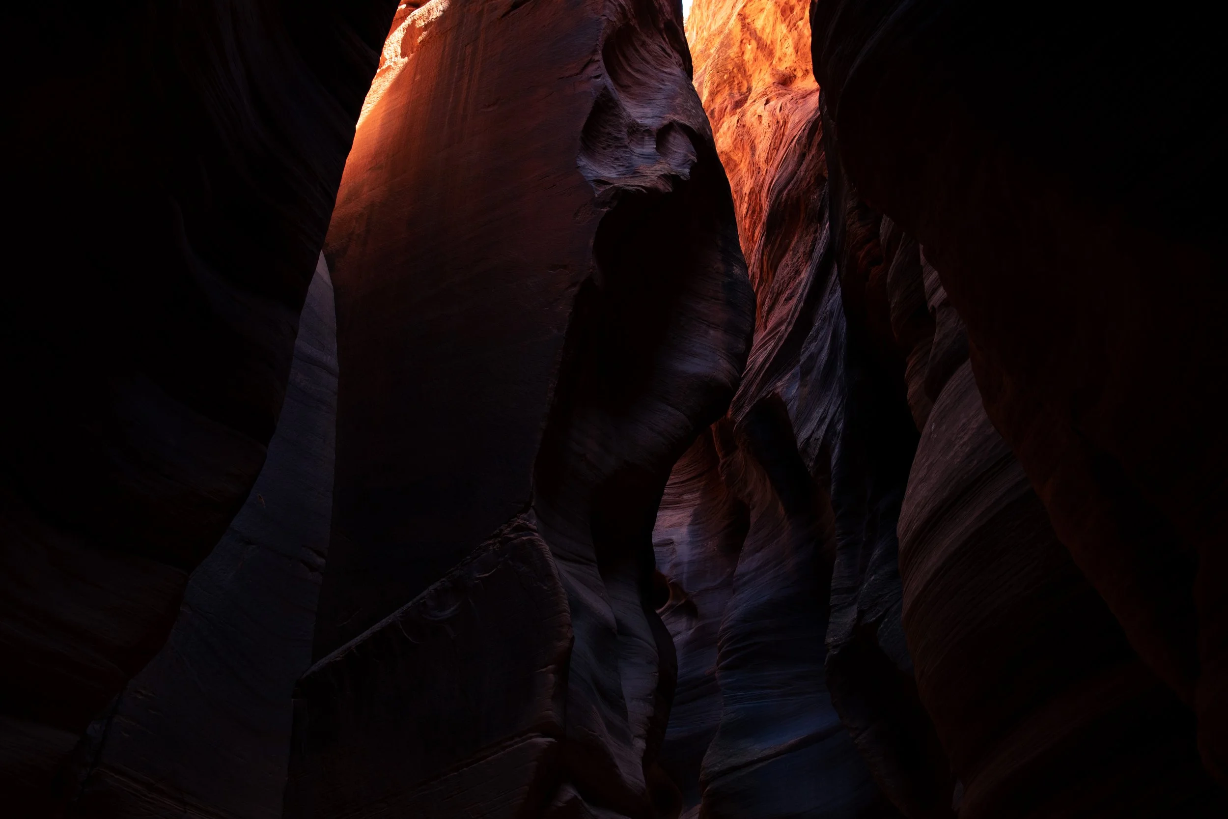 4X7A6919.jpg