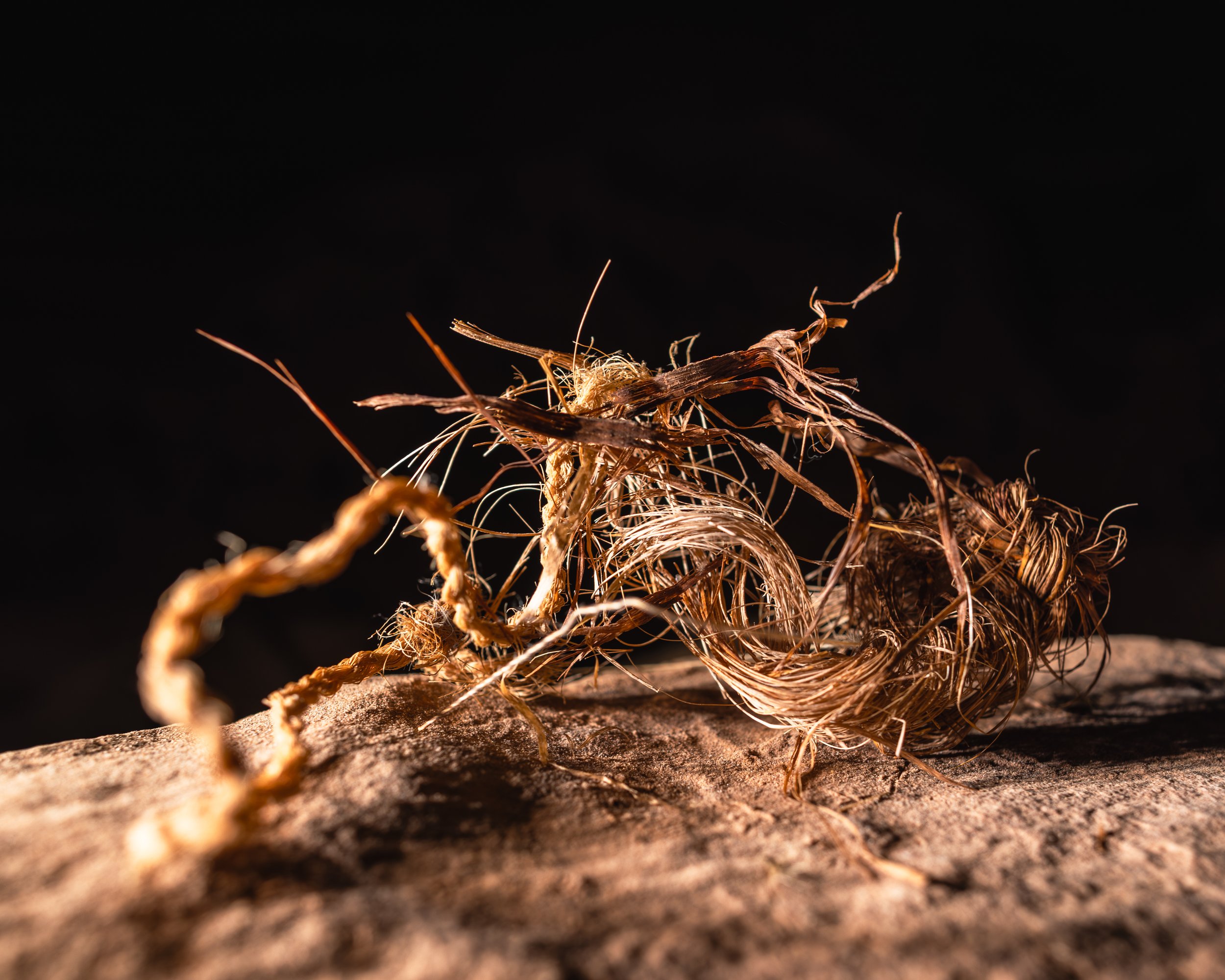 Bears Ears National Monument, Utah. Ancestral Puebloan