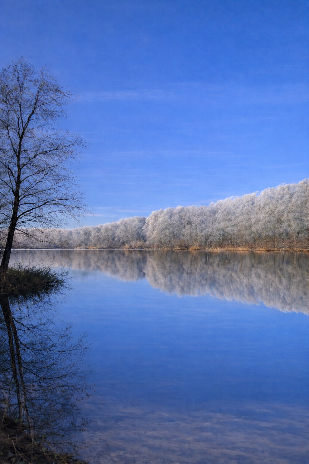 6 Week Course-Thursday January 22nd (Paying in full)