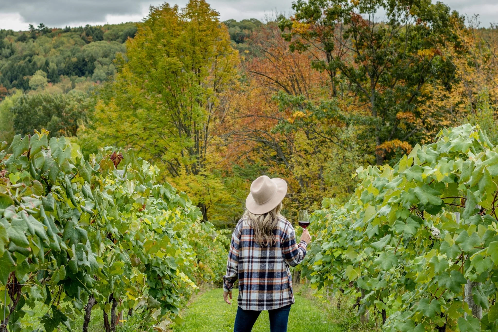 Halifax Cruise Ship Wine Tours — Vintage Vino Wine Tours