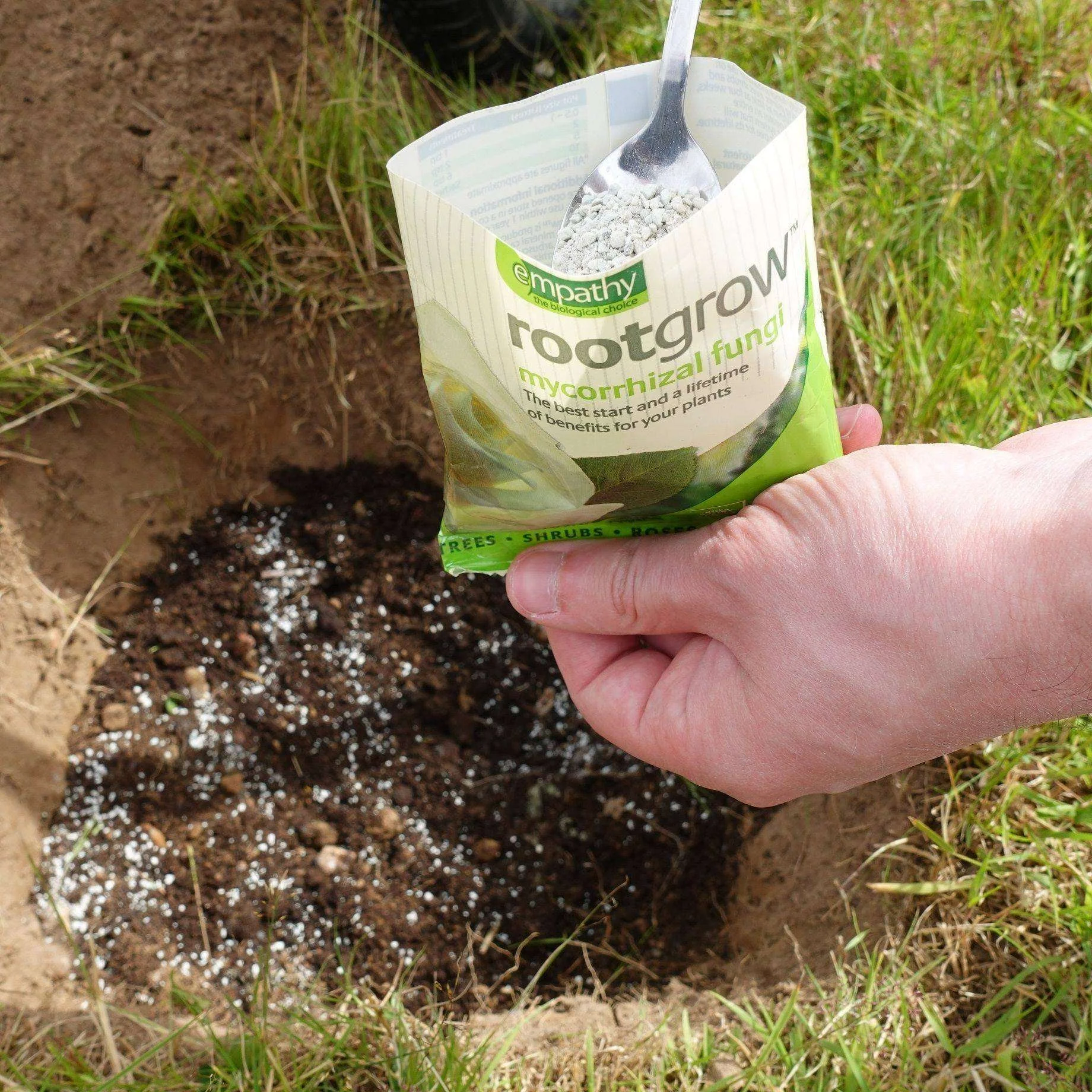 Rootgrow.jpg