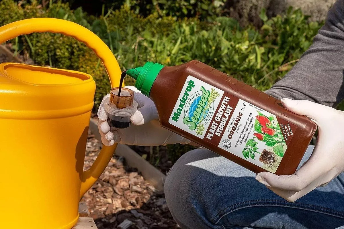 Maxicrop Seaweed Fertiliser.jpg
