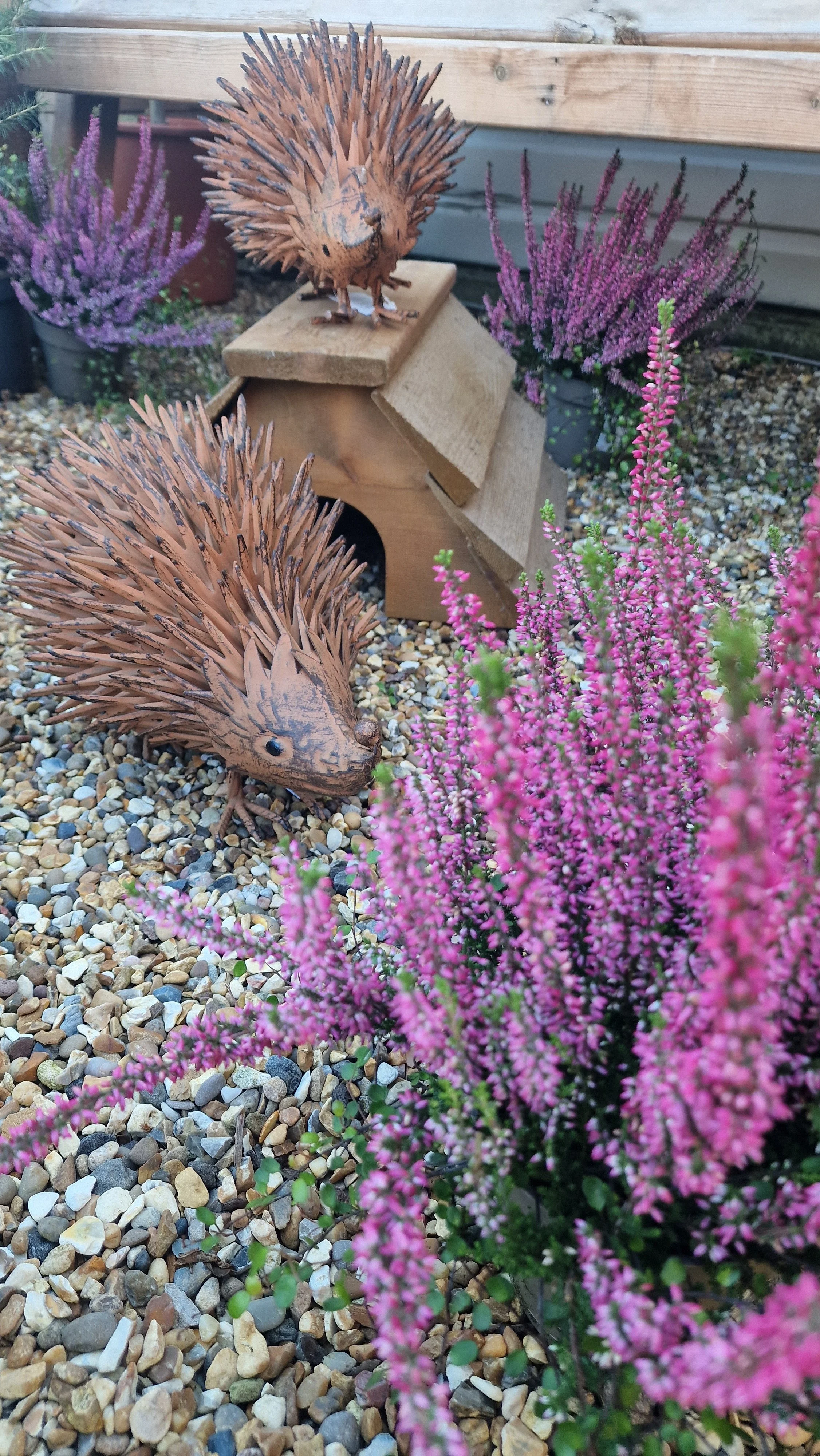 spikethehedgehog.jpg