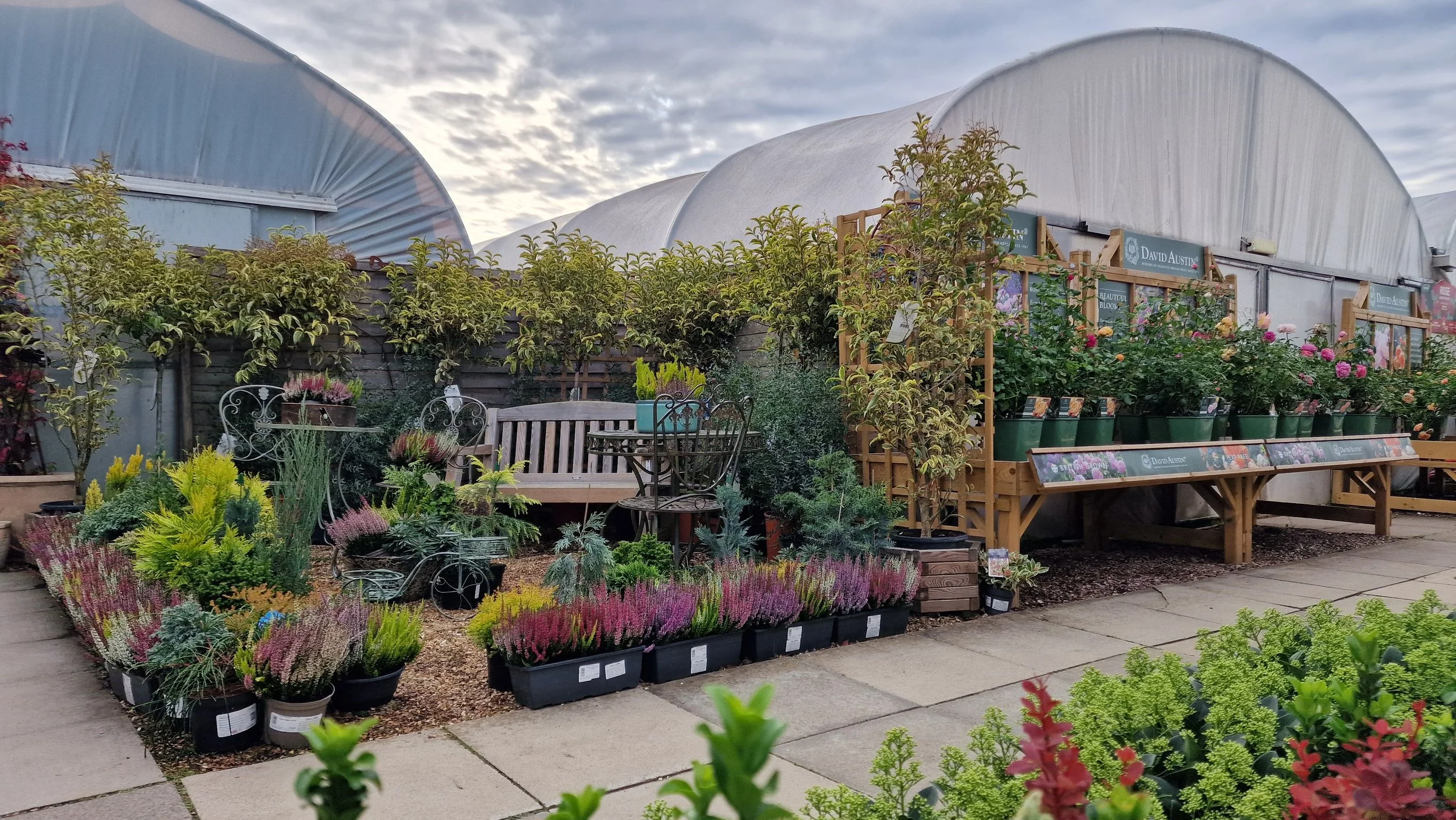 Join us for The RHS Sandringham Experience on the 30th July