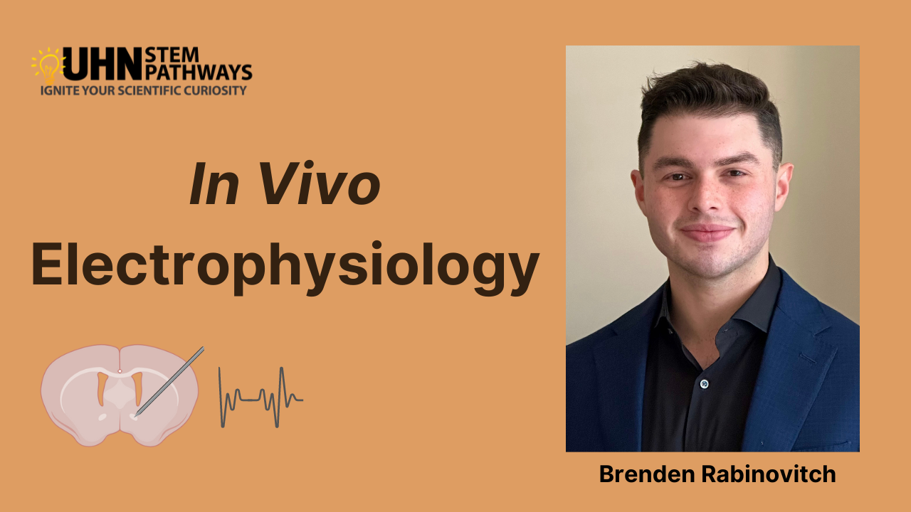 In Vivo Electrophysiology.png