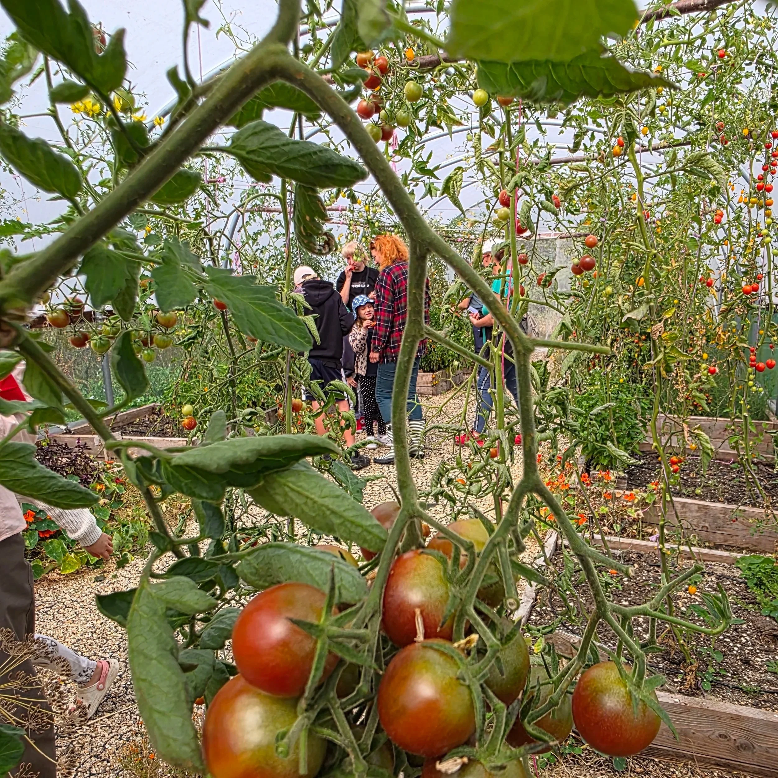 A Weekend to Recharge at Magdalen Farm