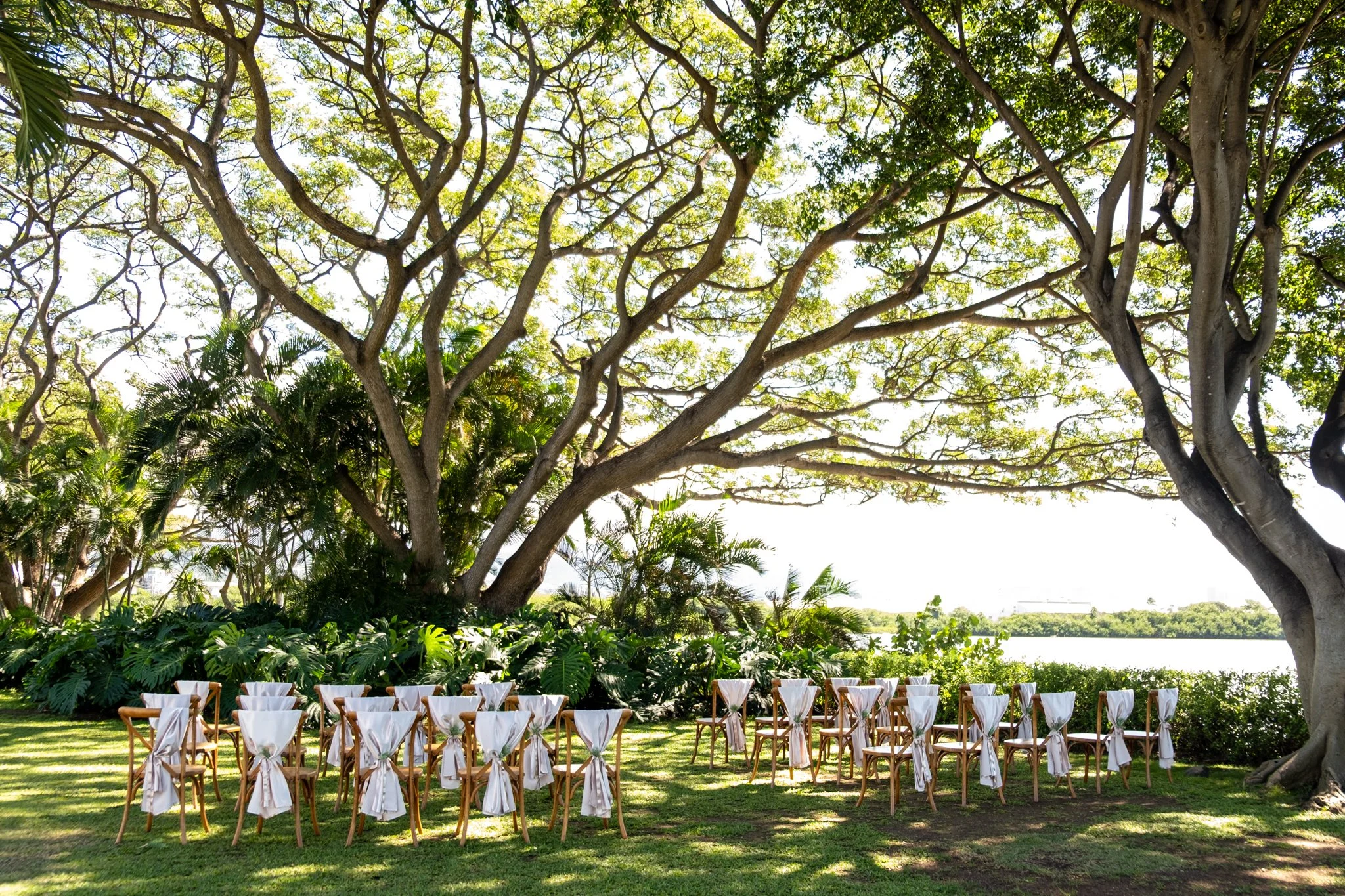 Greg and Megan (16 of 771).jpg