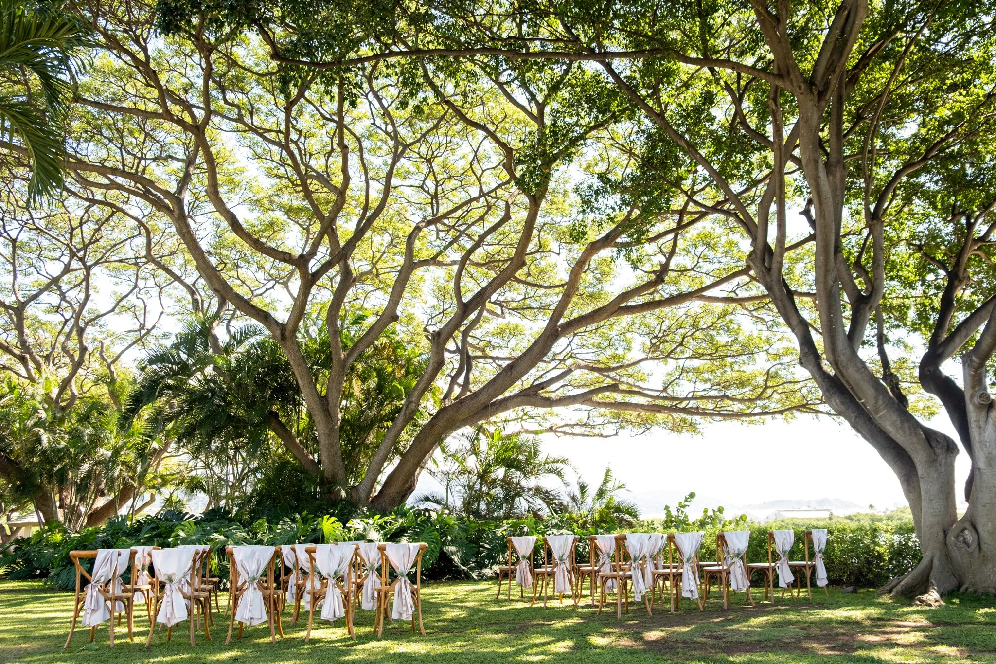 Greg and Megan (17 of 771).jpg